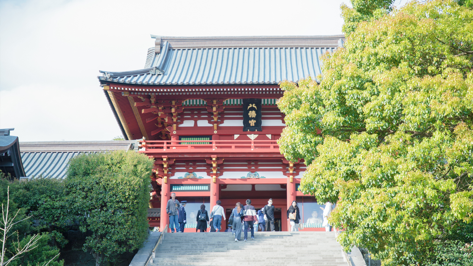 東京自助遊攻略