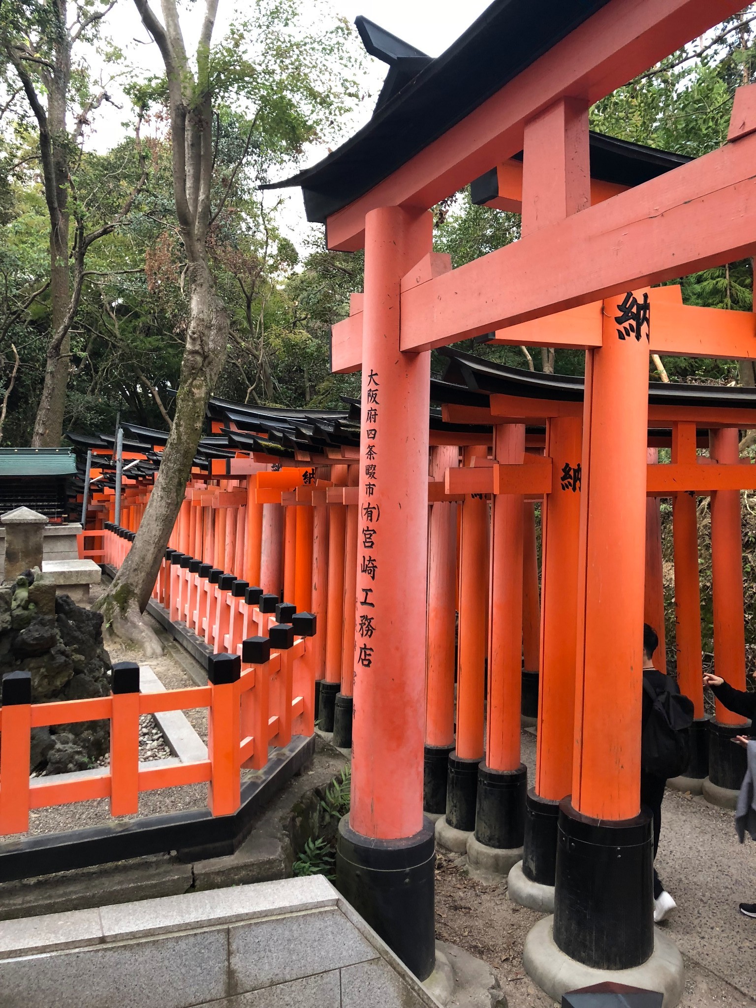 京都自助遊攻略