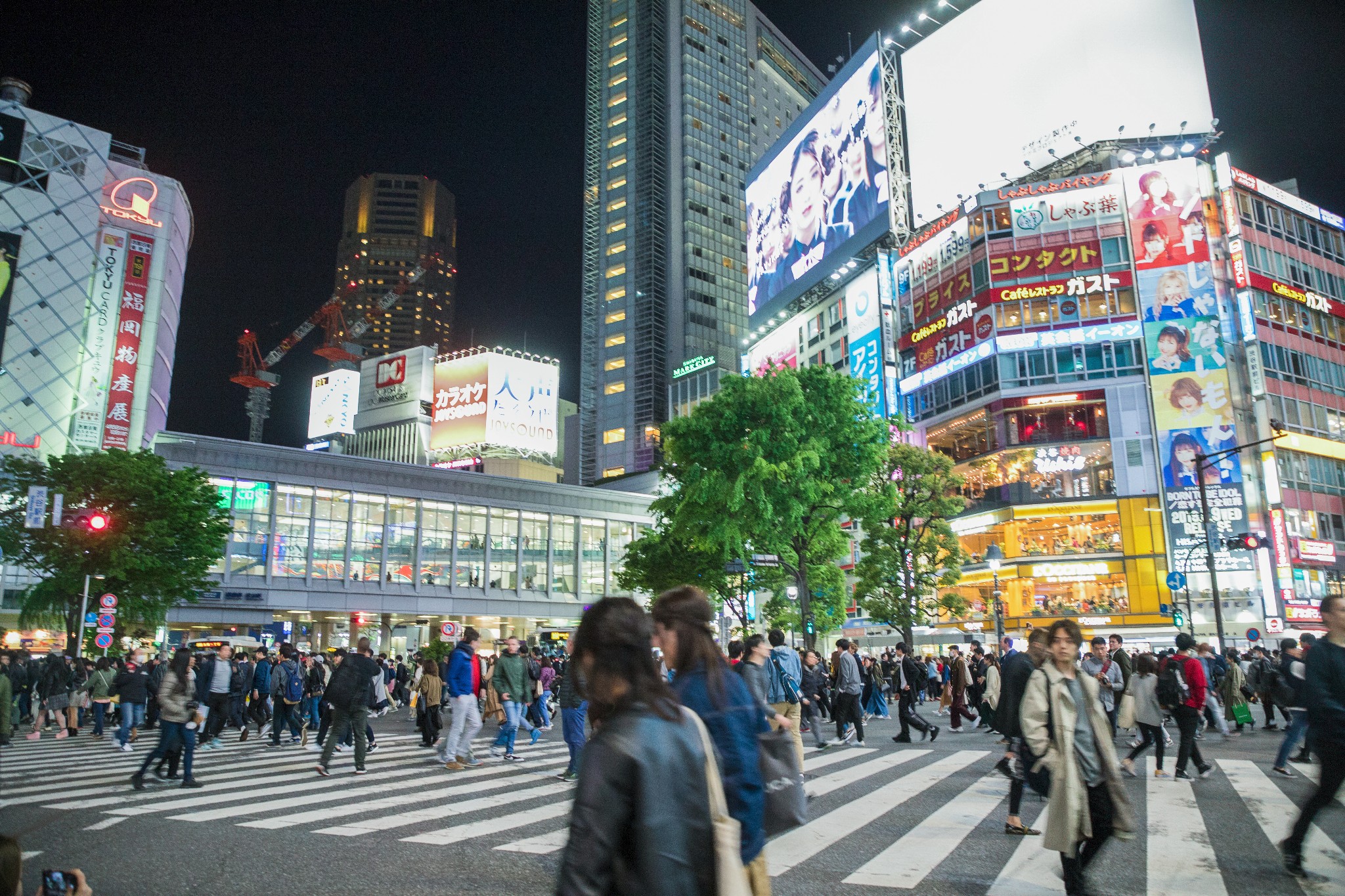 東京自助遊攻略