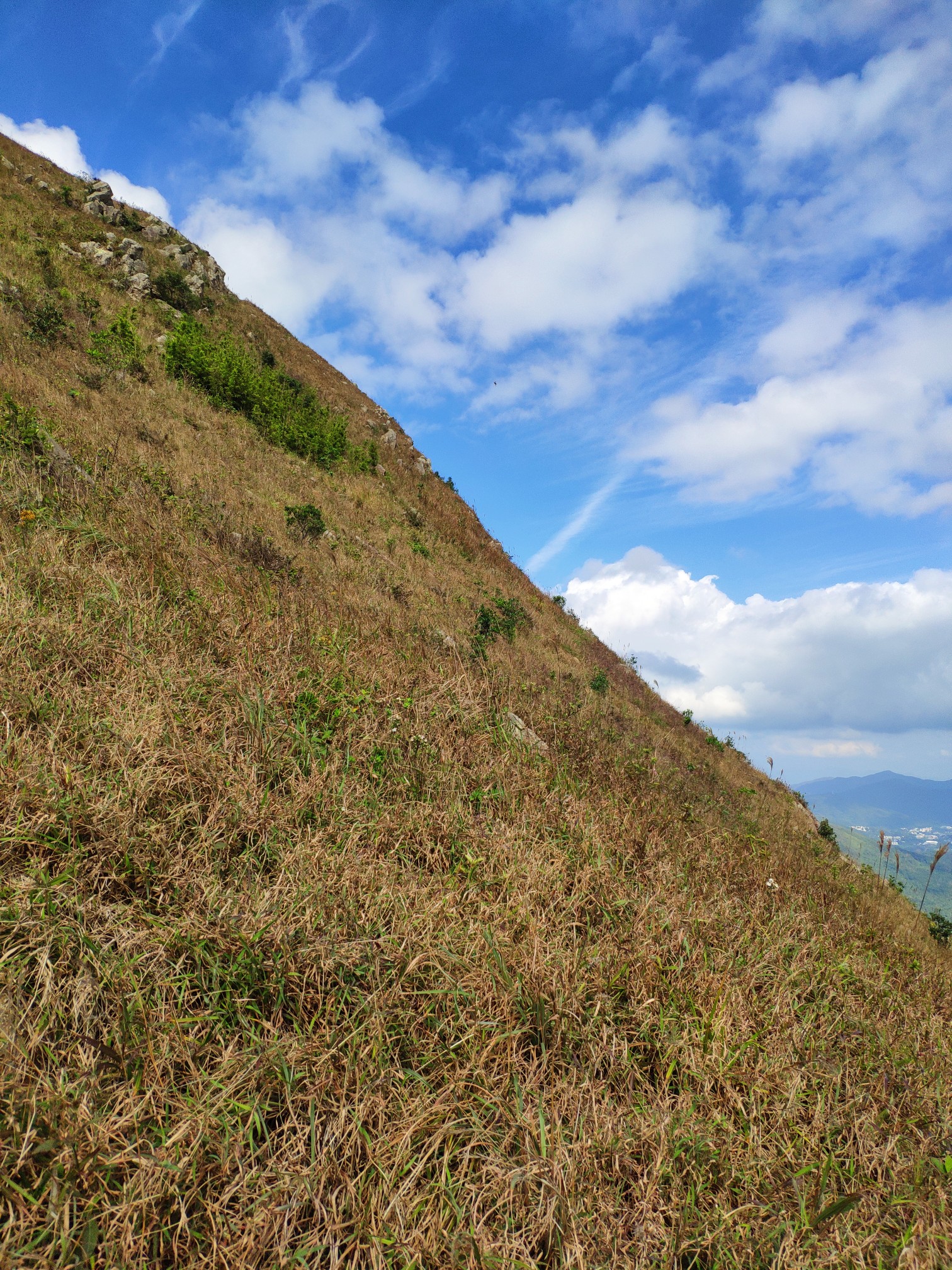 wKgED1wHfciARvjcABMa7H4dUsM32.jpeg?imageView2%2F2%2Fw%2F680%2Fq%2F90%7CimageMogr2%2Fstrip%2Fquality%2F90