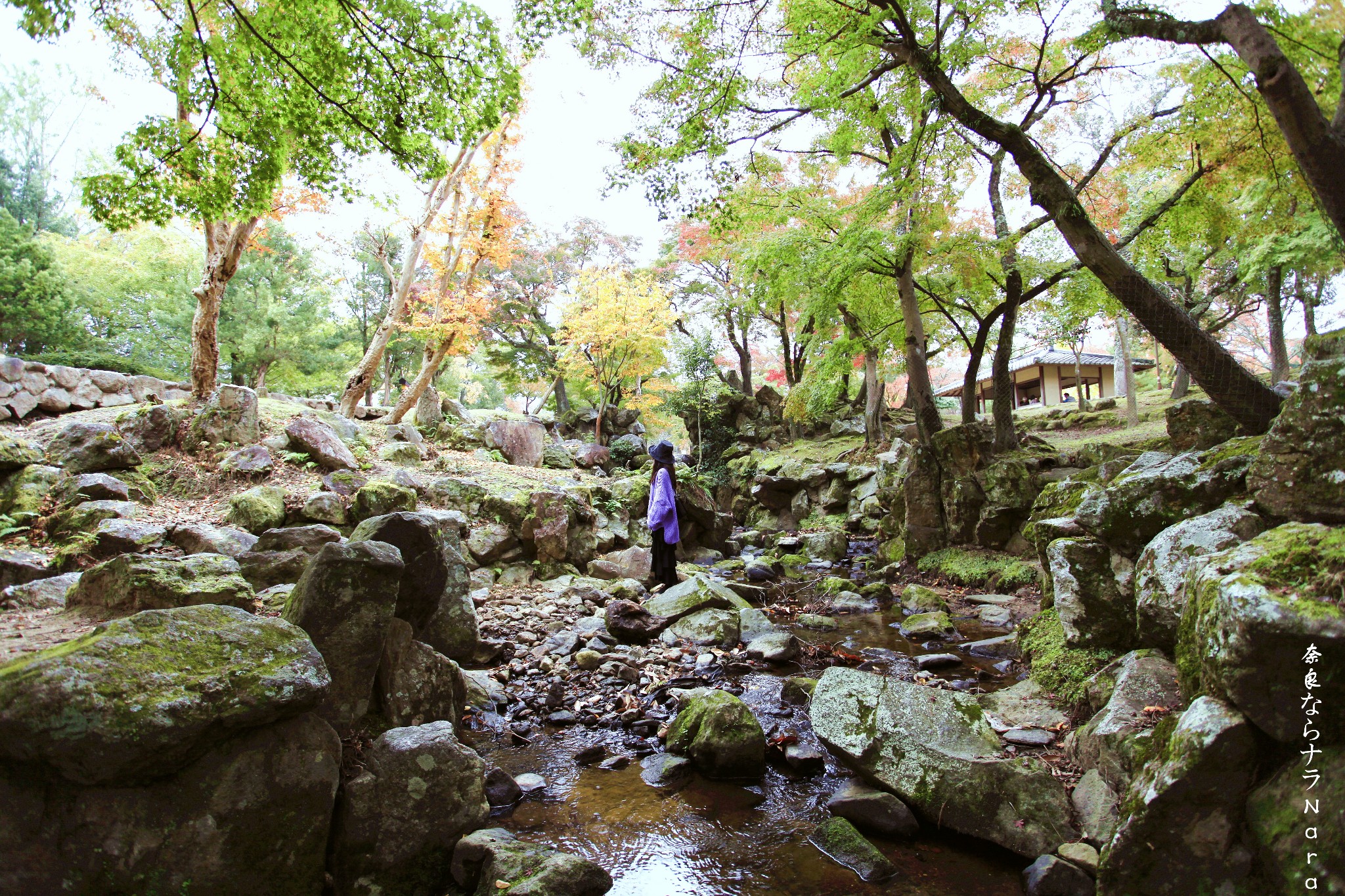 京都自助遊攻略