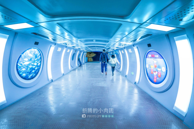 海洋公园上海海昌隐形项目 wKgED1v-MQaADXHlAB0v_K3ELMo93.jpeg?imageView2%2F2%2Fw%2F680%2Fq%2F90%7CimageMogr2%2Fstrip%2Fquality%2F90