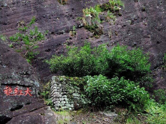 武夷山自助遊攻略