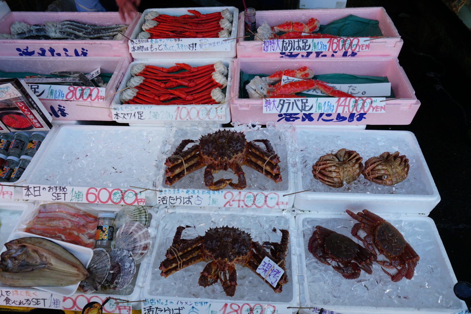 北海道自助遊攻略