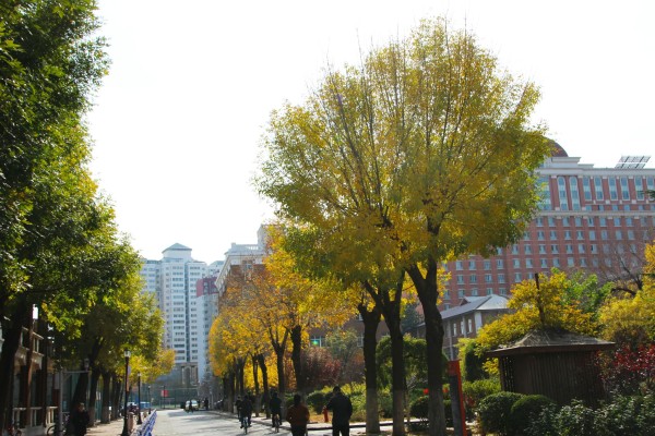 怎么上外国语大学 wKgED1vhuYqAbcYIAA49NMrRVTA10.jpeg?imageView2%2F2%2Fw%2F600%2Fh%2F600%2Fq%2F90