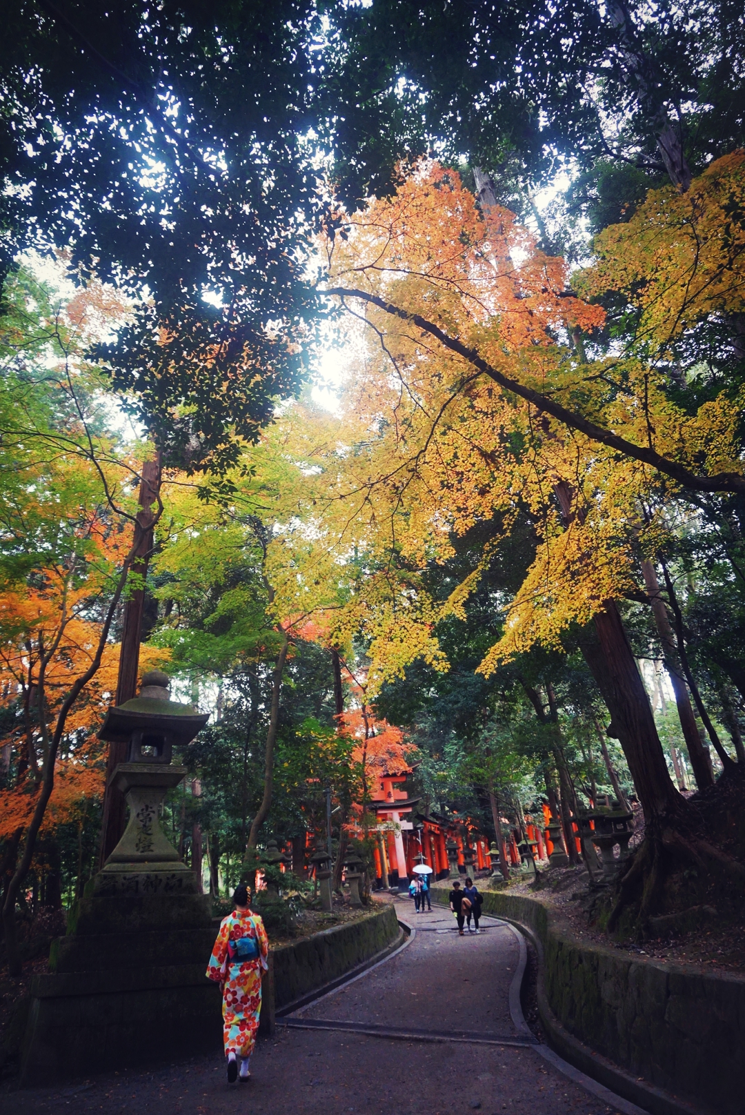 京都自助遊攻略