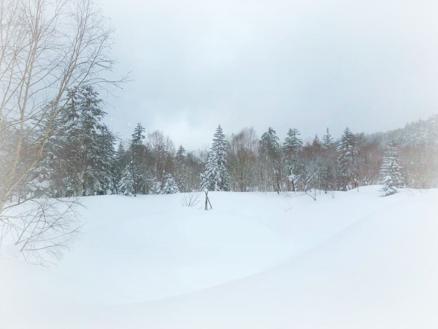 北海道自助遊攻略