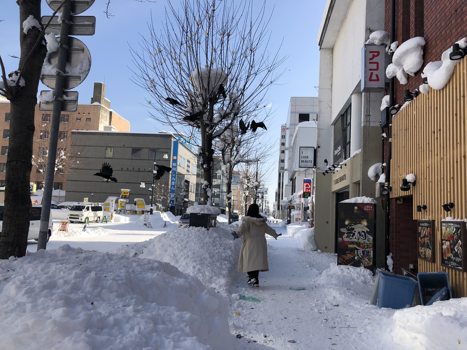 北海道自助遊攻略