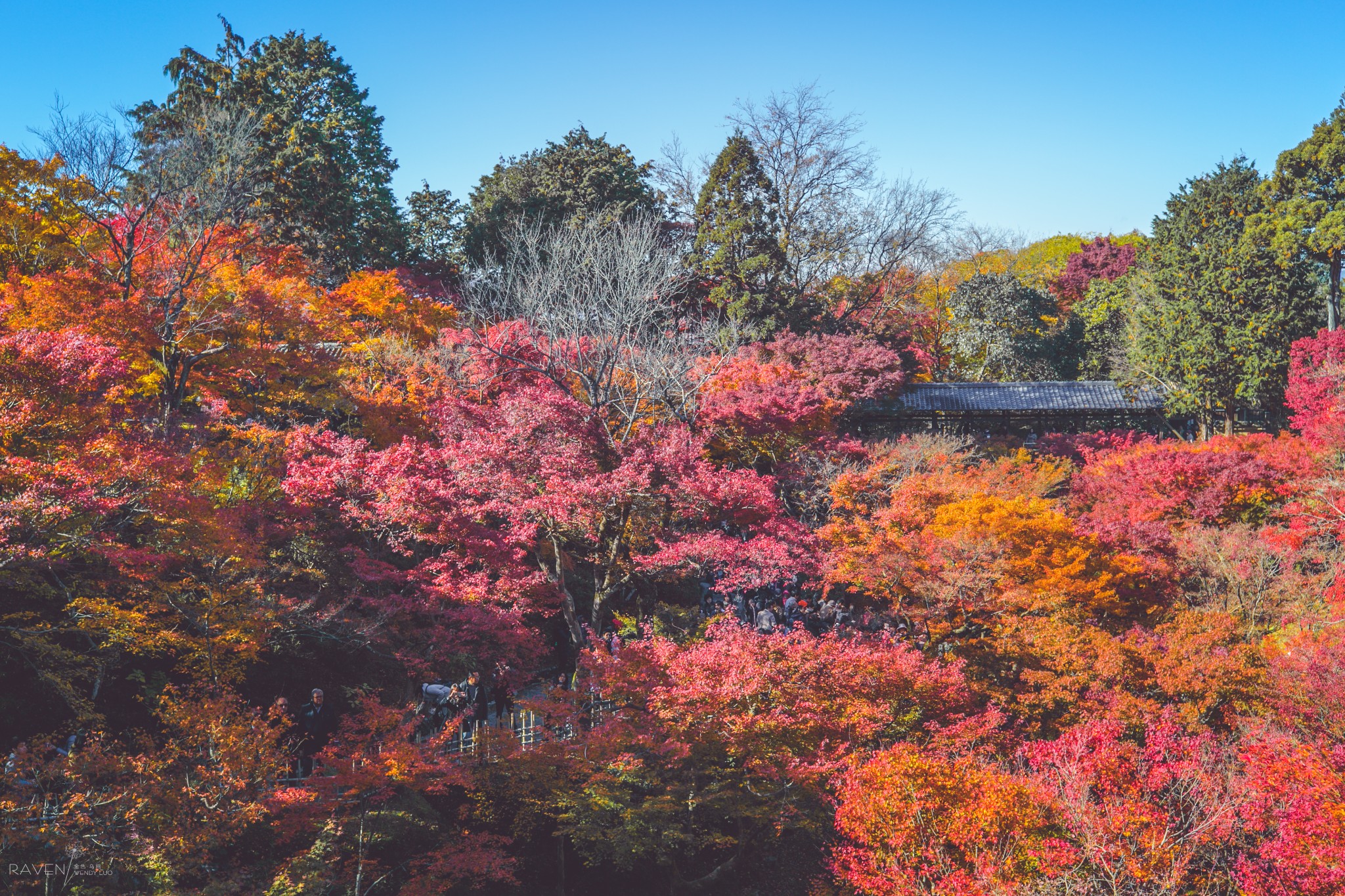 京都自助遊攻略