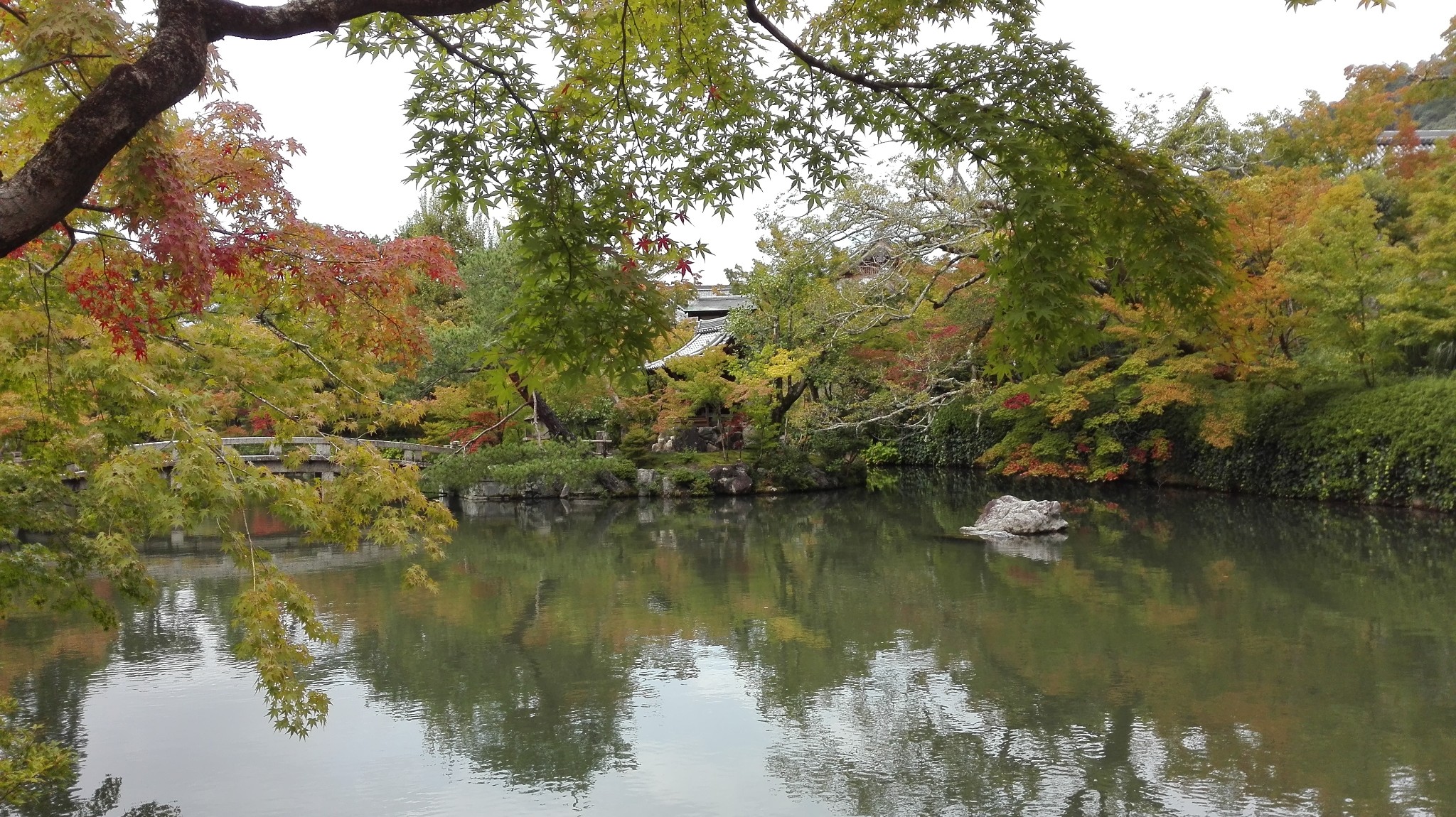 京都自助遊攻略