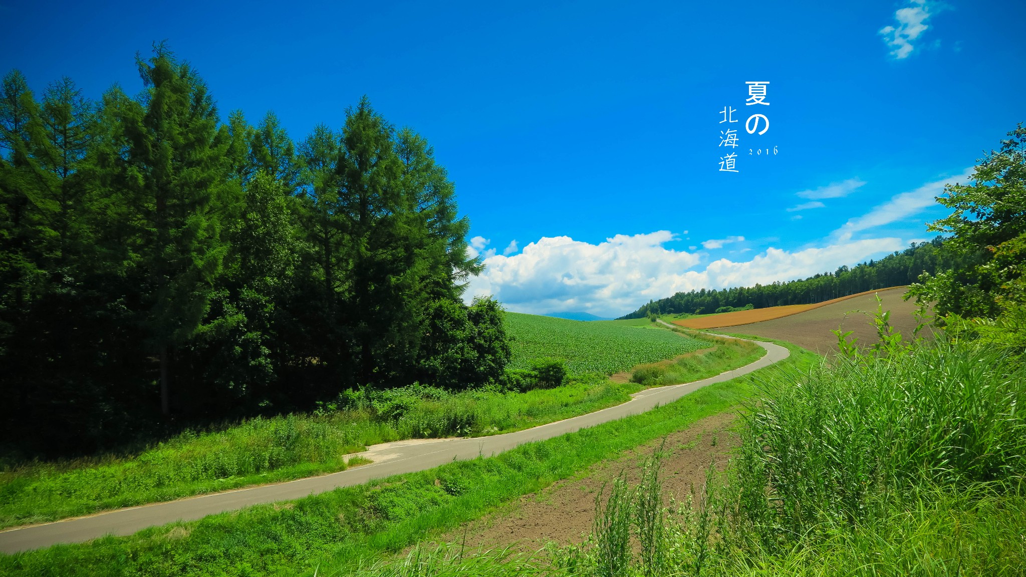 北海道自助遊攻略