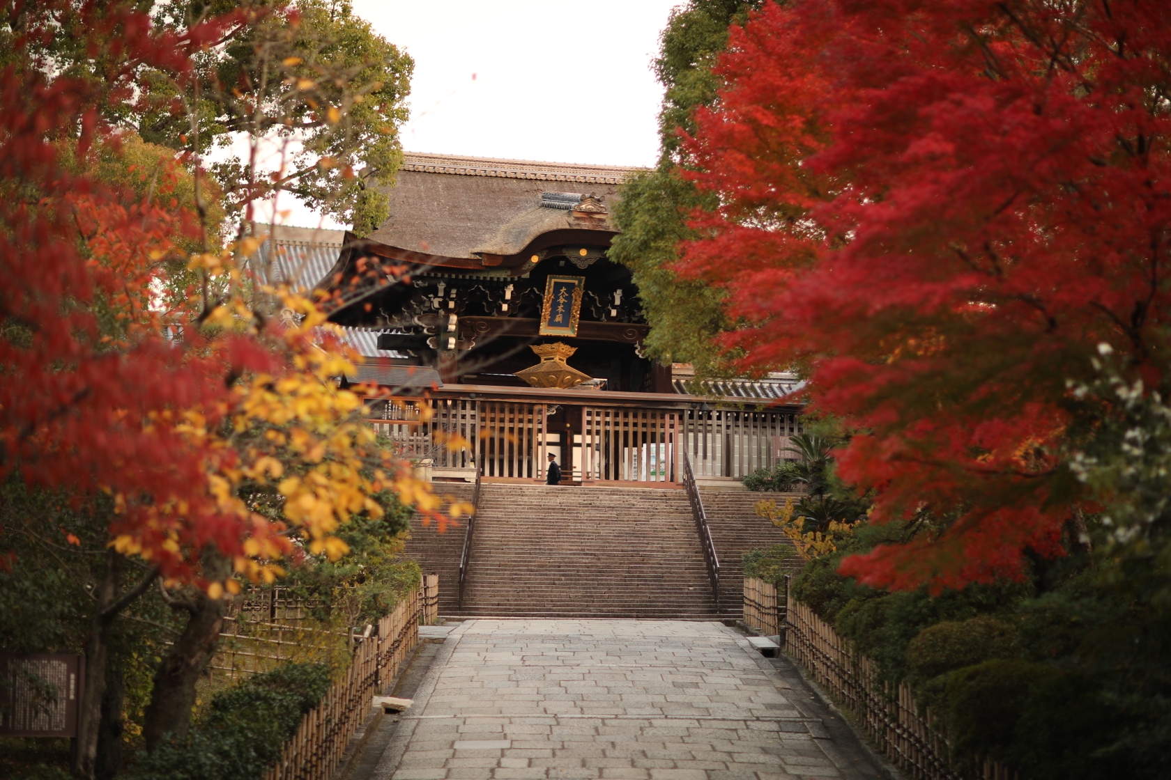 京都自助遊攻略