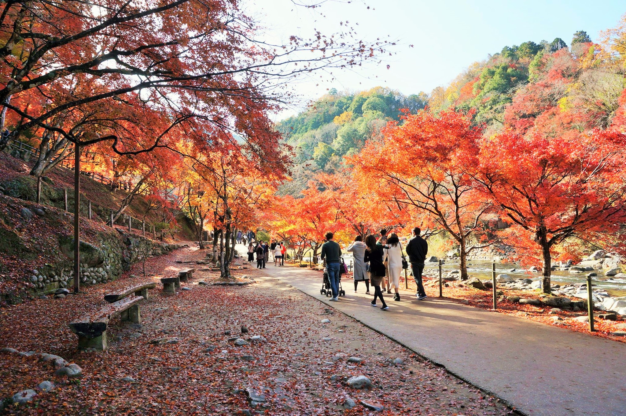 名古屋自助遊攻略