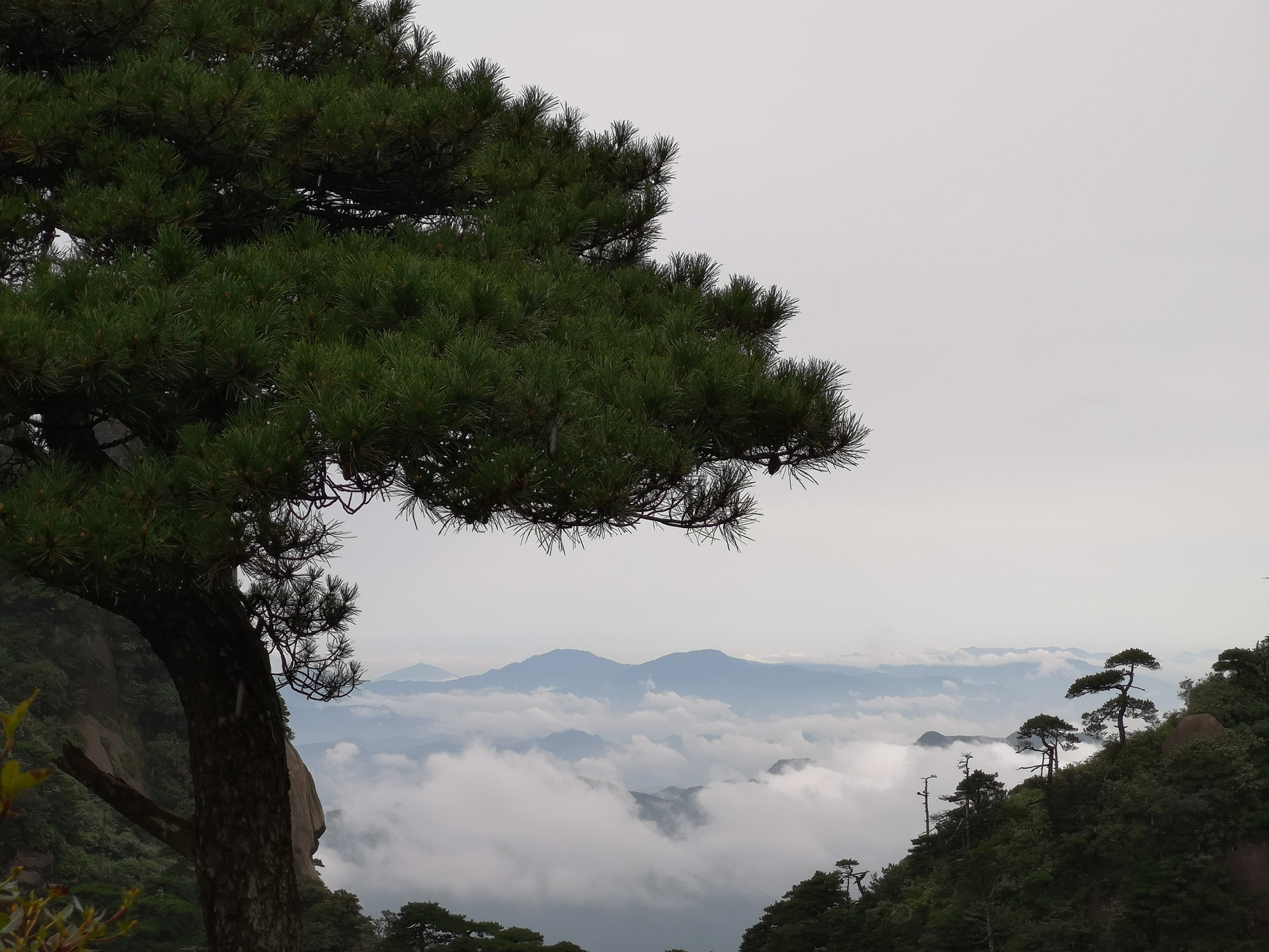 三清山自助遊攻略