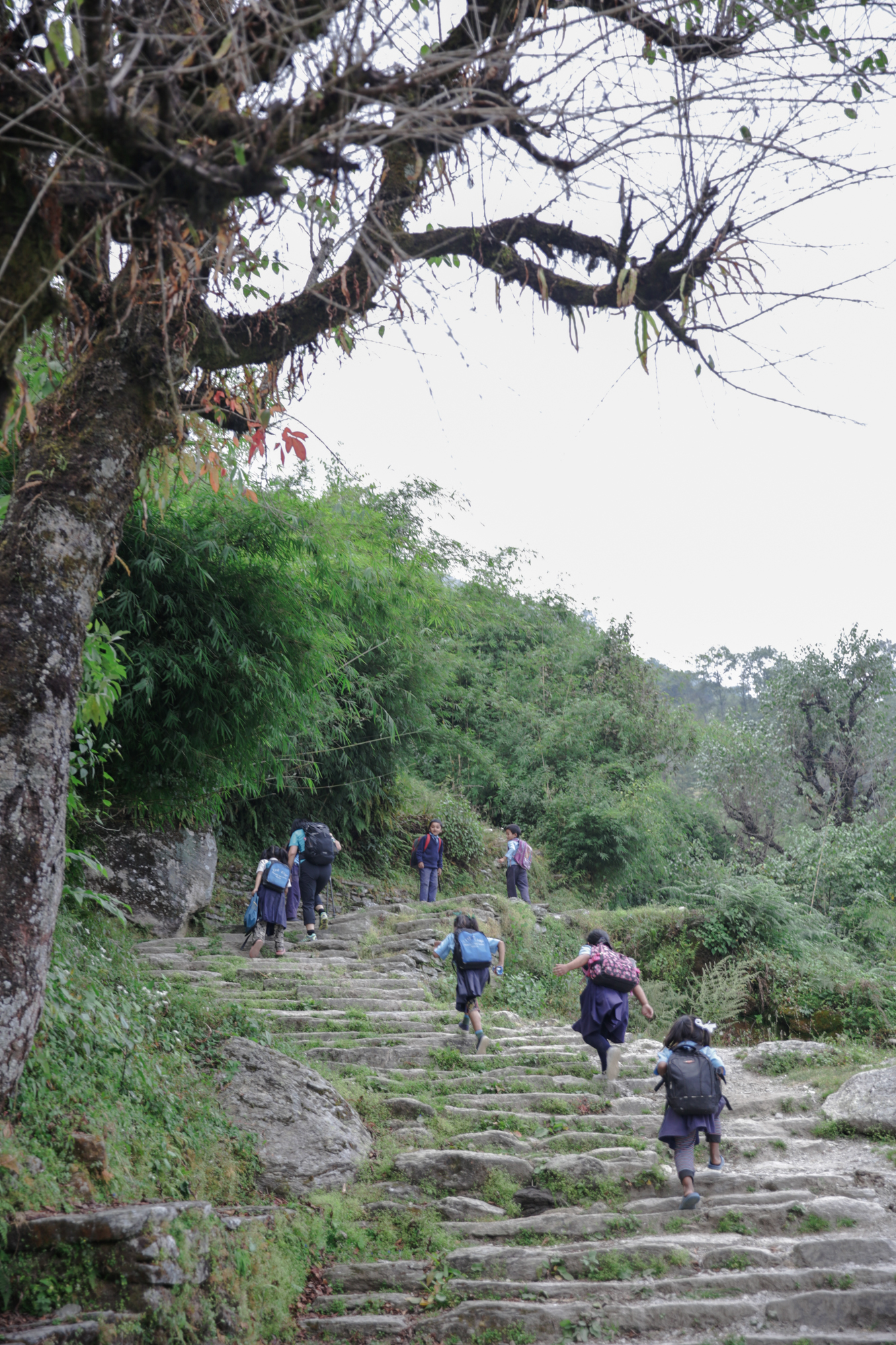 尼泊爾自助遊攻略