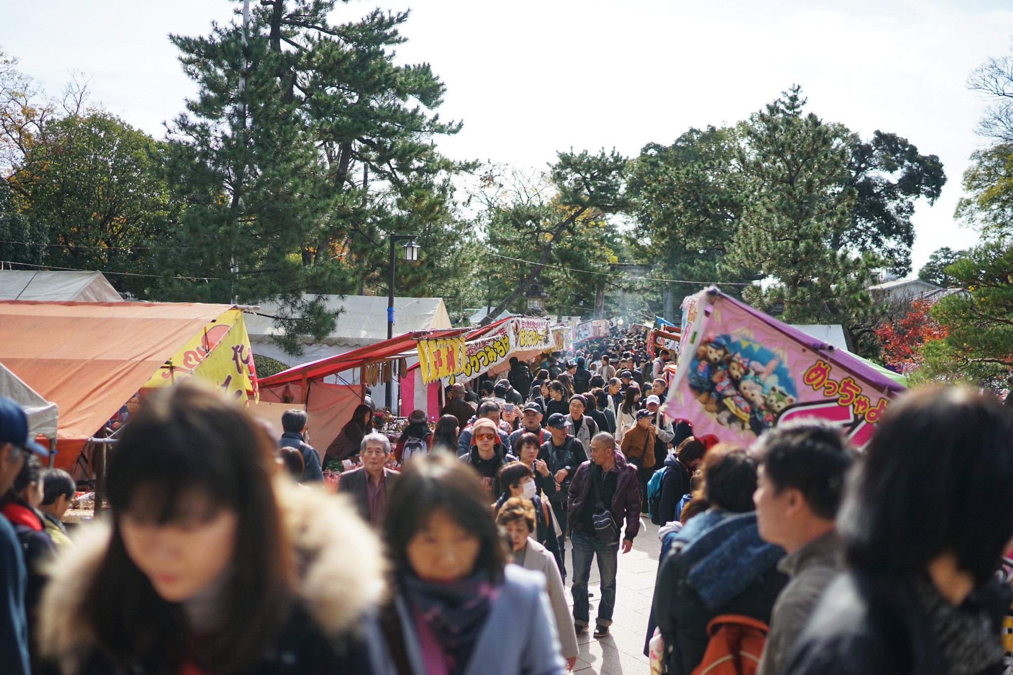 京都自助遊攻略