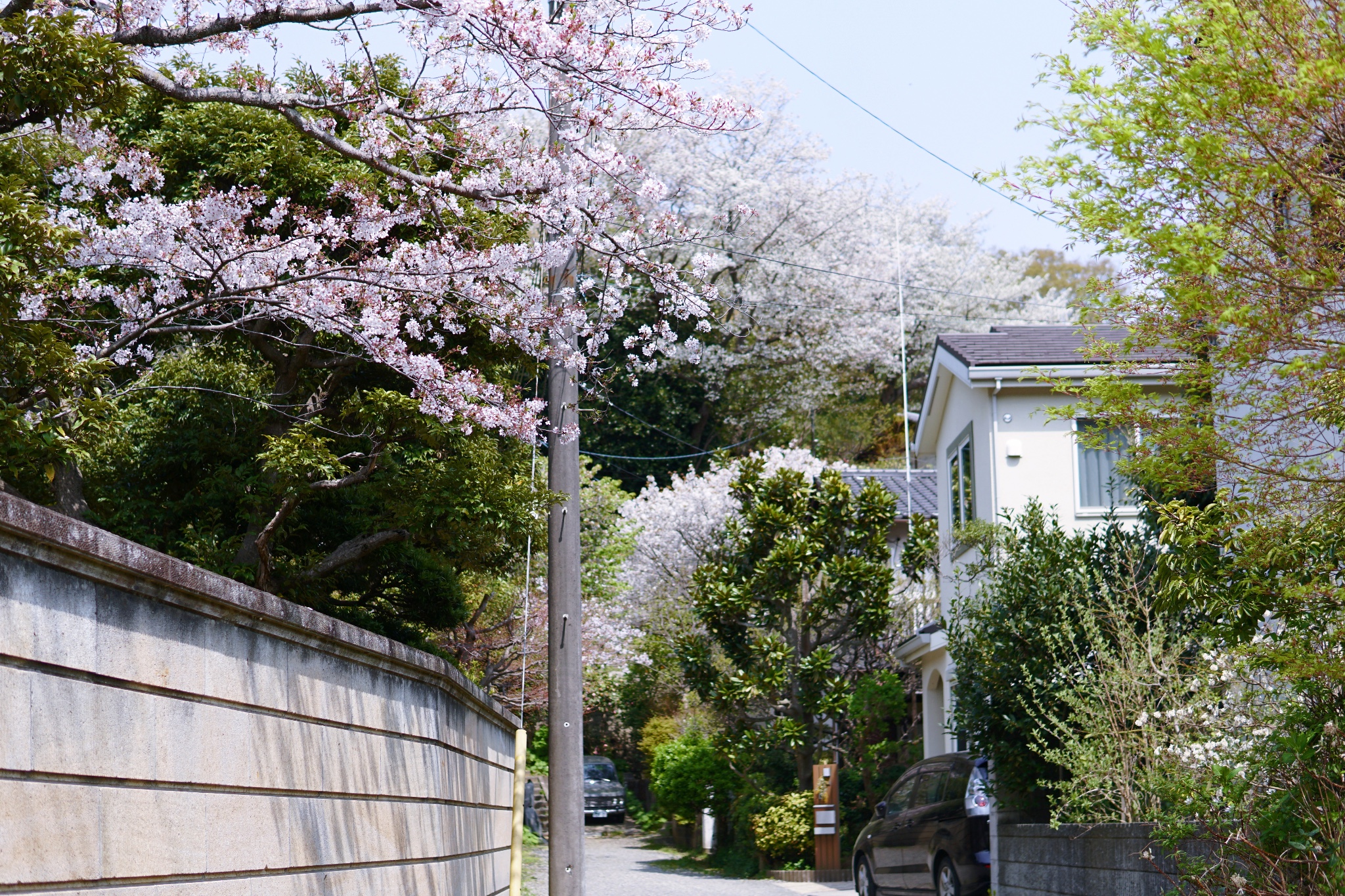 東京自助遊攻略