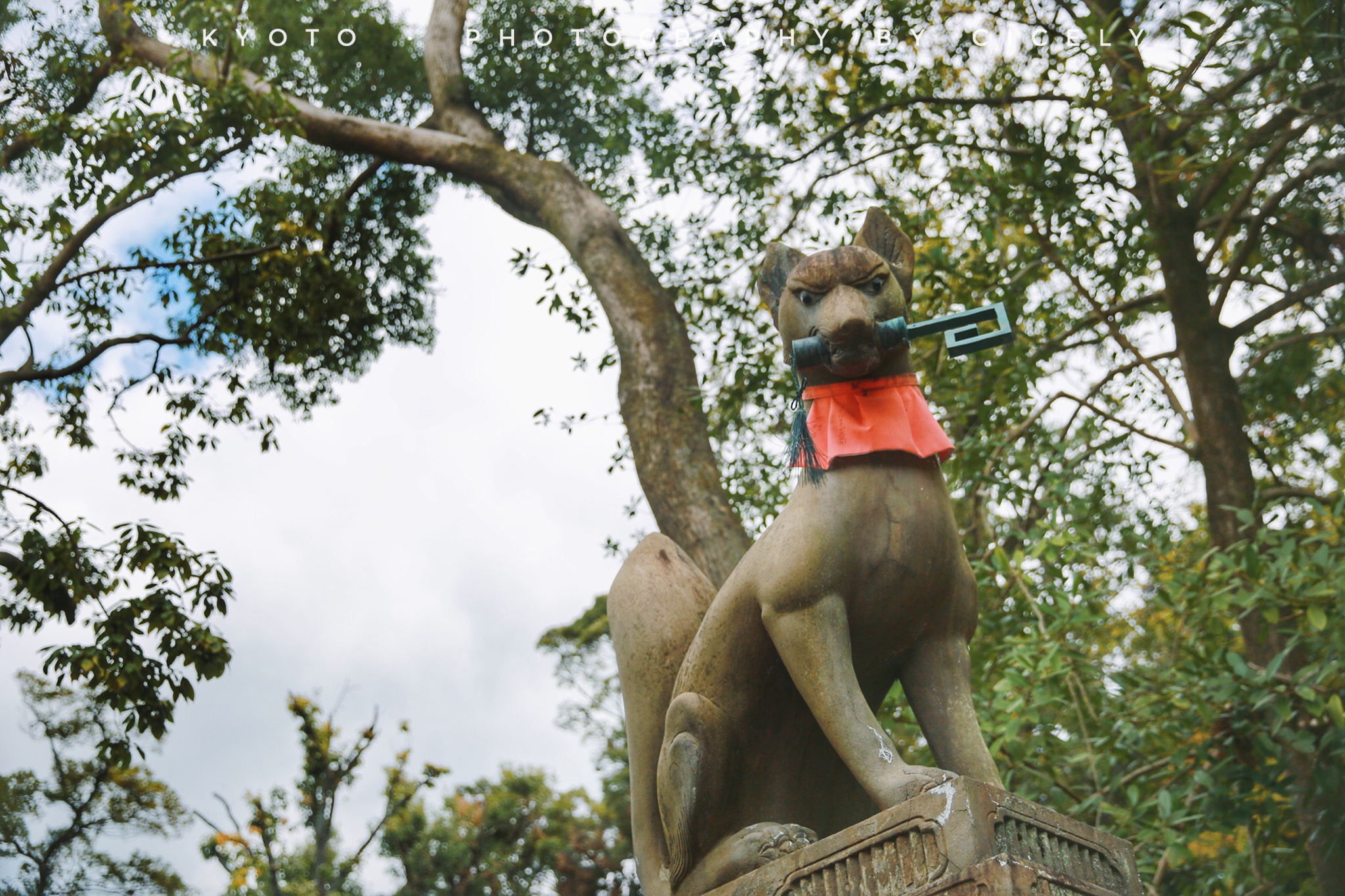 京都的寺 奈良的鹿 大阪的城 暴走关西日记丨日本6日自由行 大阪游记 途牛