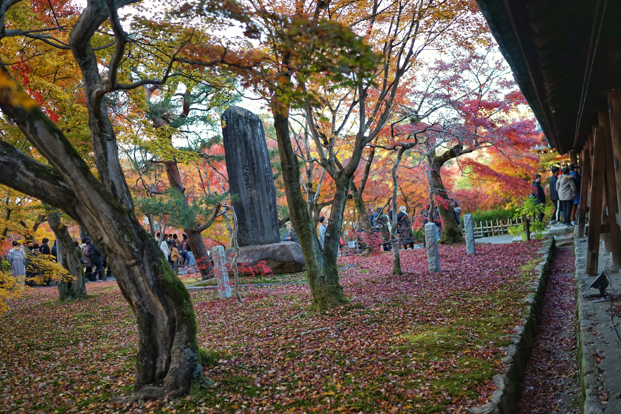 京都自助遊攻略