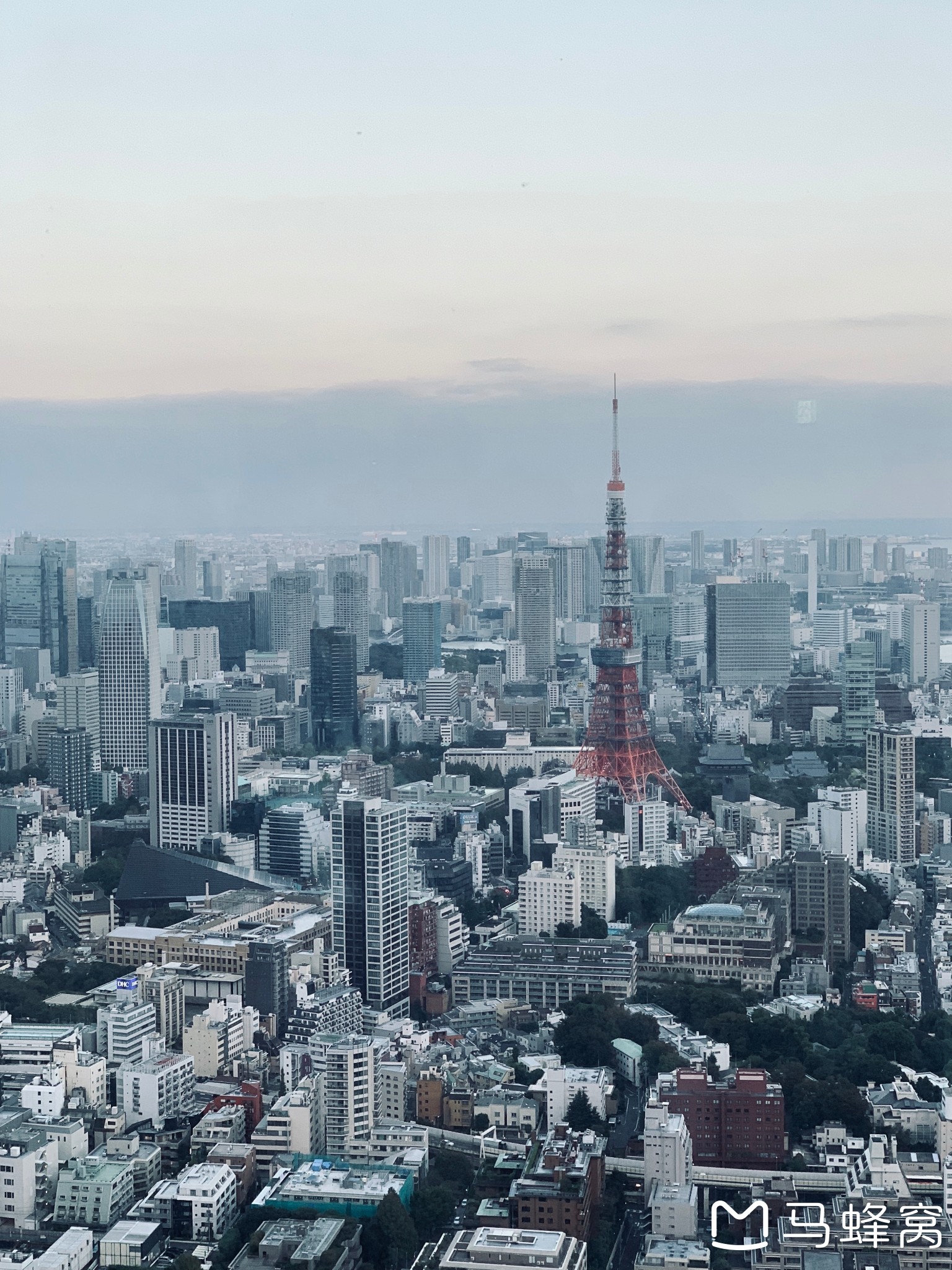 東京自助遊攻略