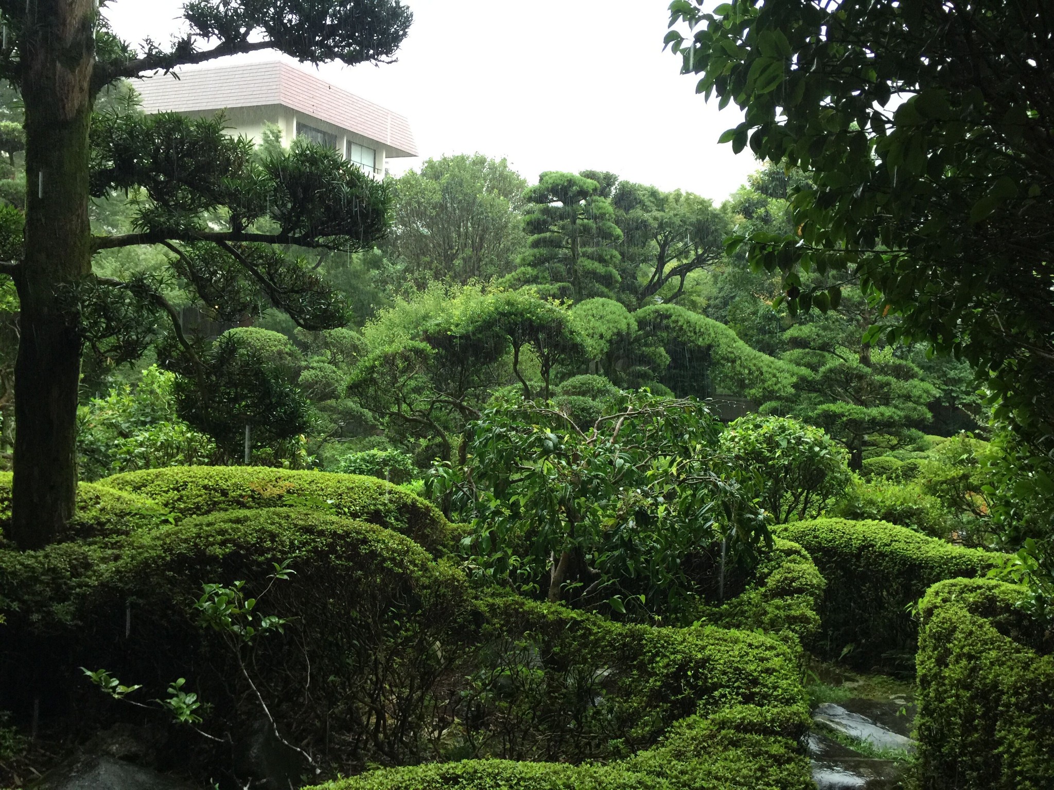 東京自助遊攻略