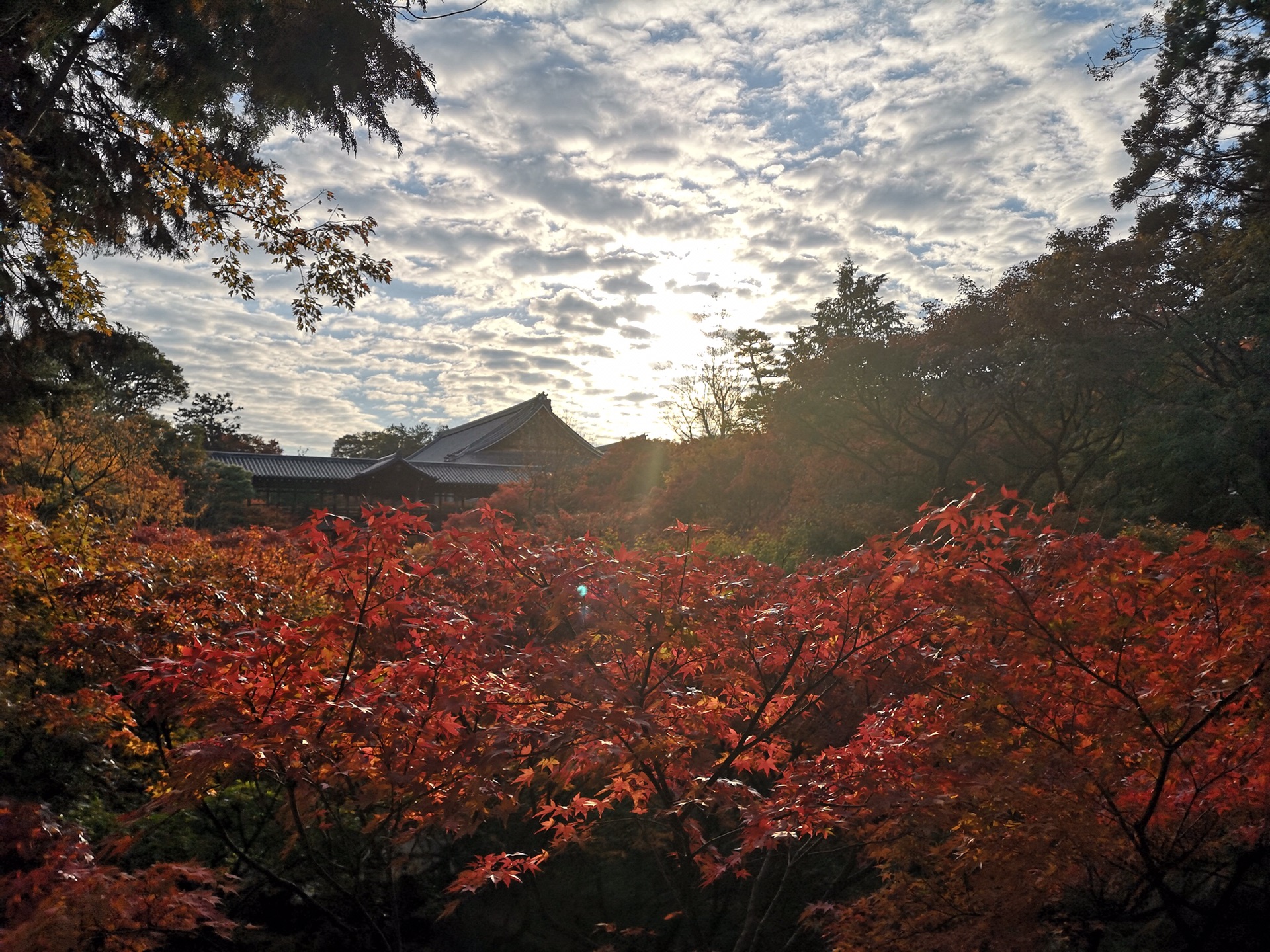 京都自助遊攻略