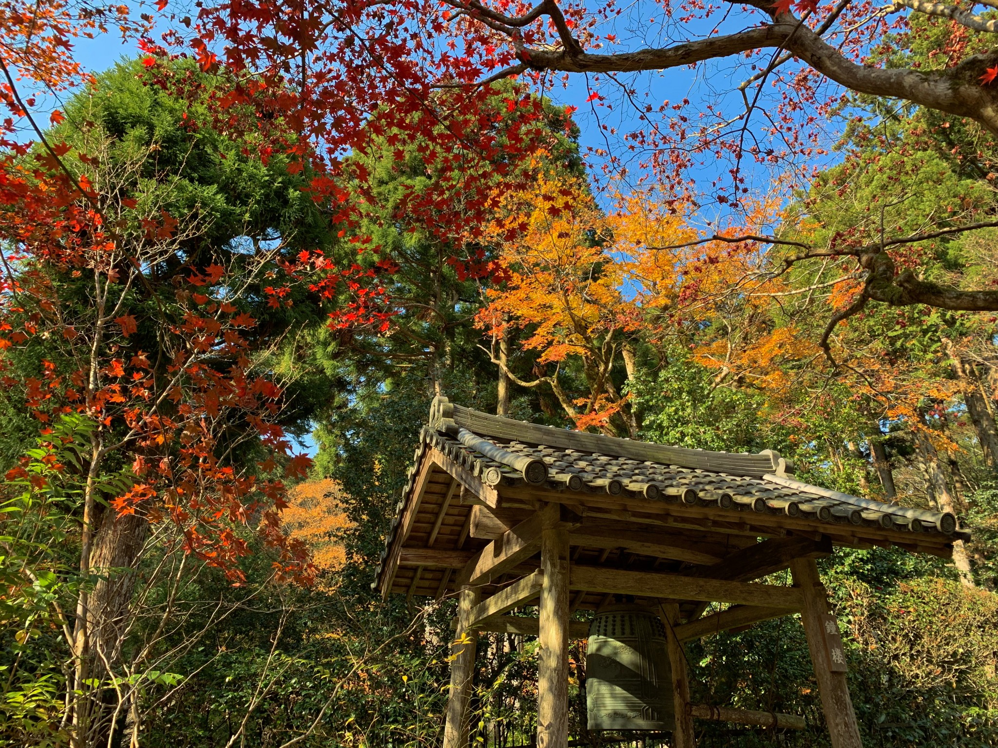 京都自助遊攻略