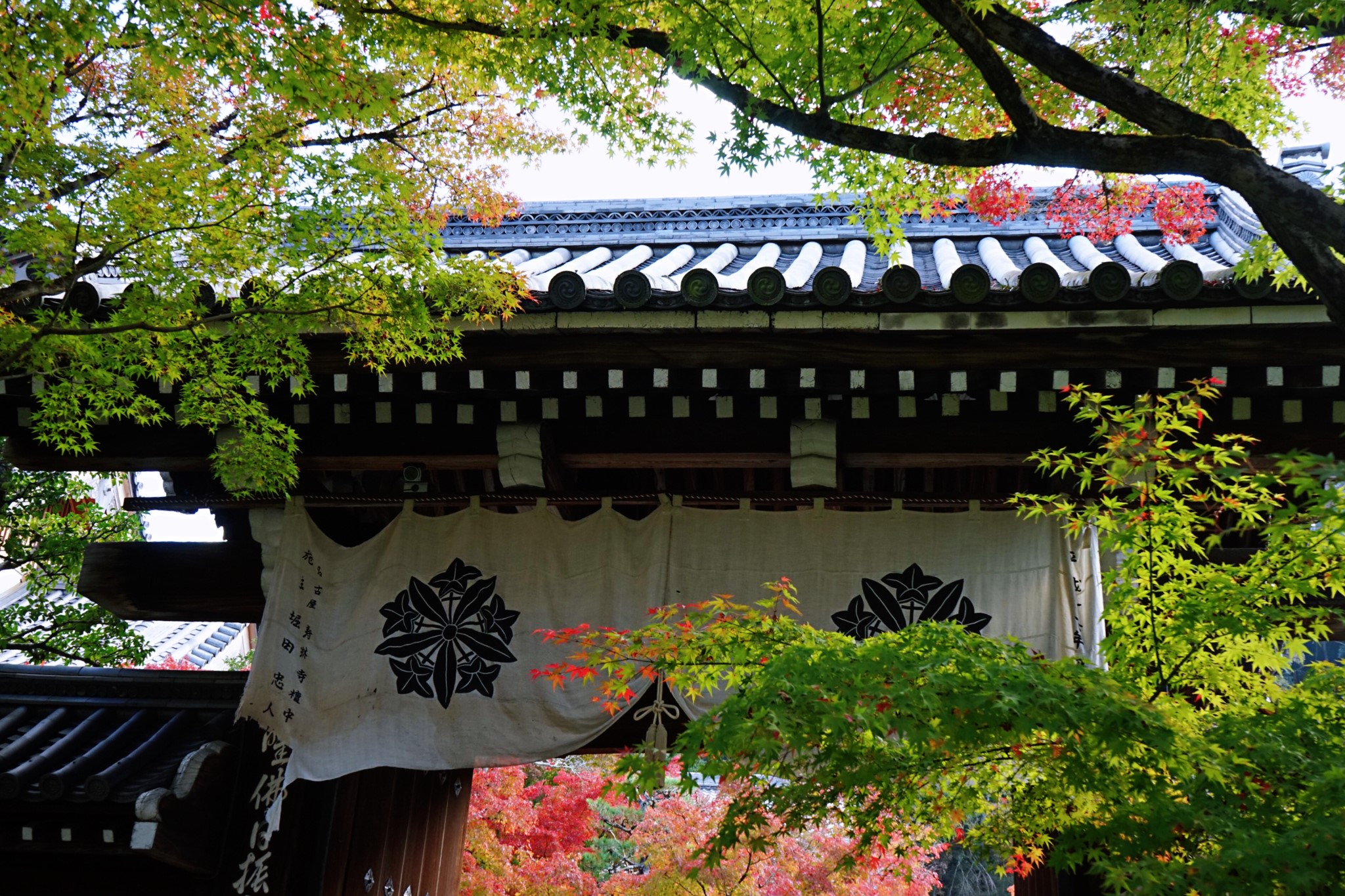 京都自助遊攻略