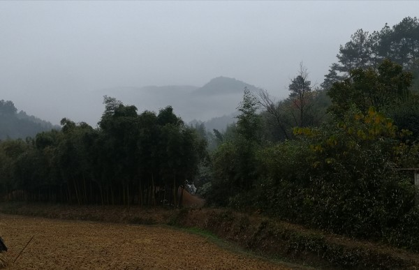 浙江山村是什么样子 wKgED1veHOaAAMw5ABgPQ5njC1o37.jpeg?imageView2%2F2%2Fw%2F600%2Fh%2F600%2Fq%2F90