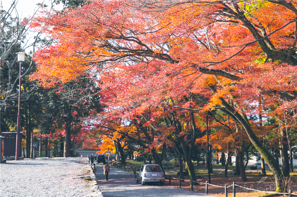 京都自助遊攻略