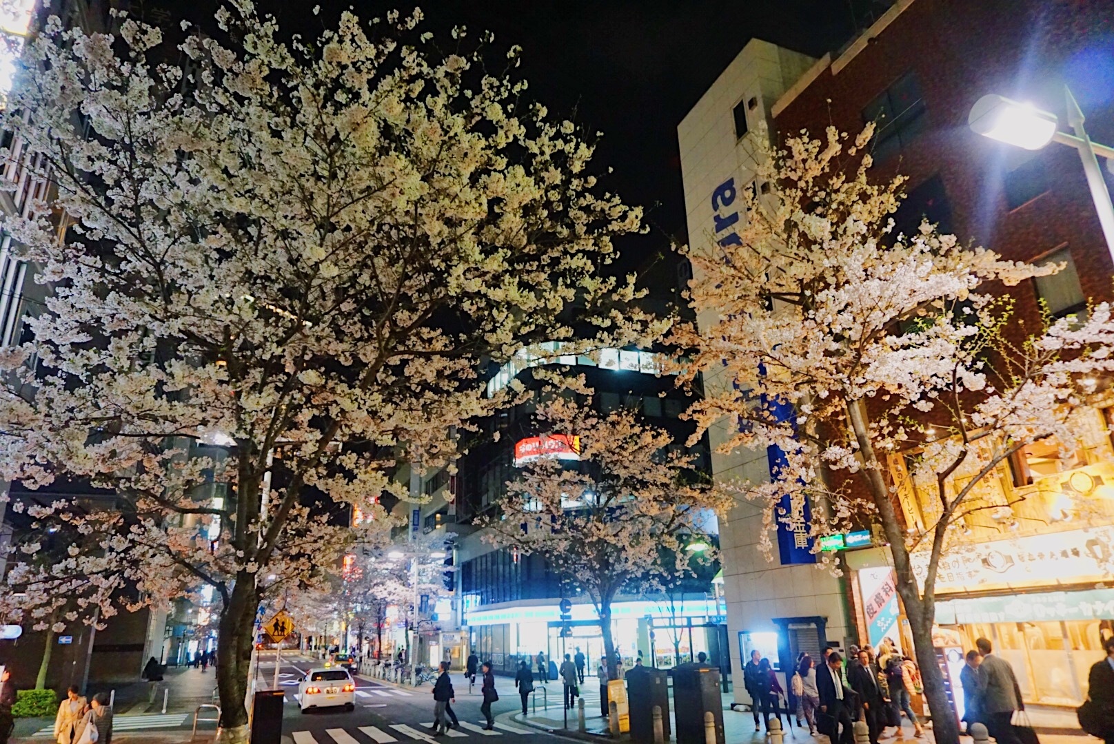 東京自助遊攻略