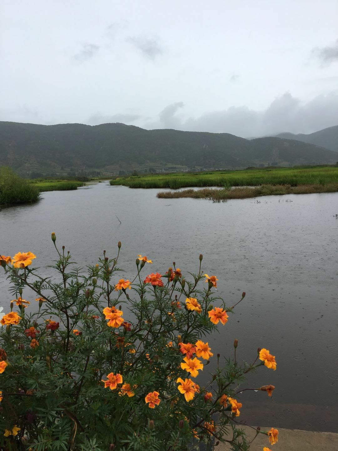 雨崩自助遊攻略