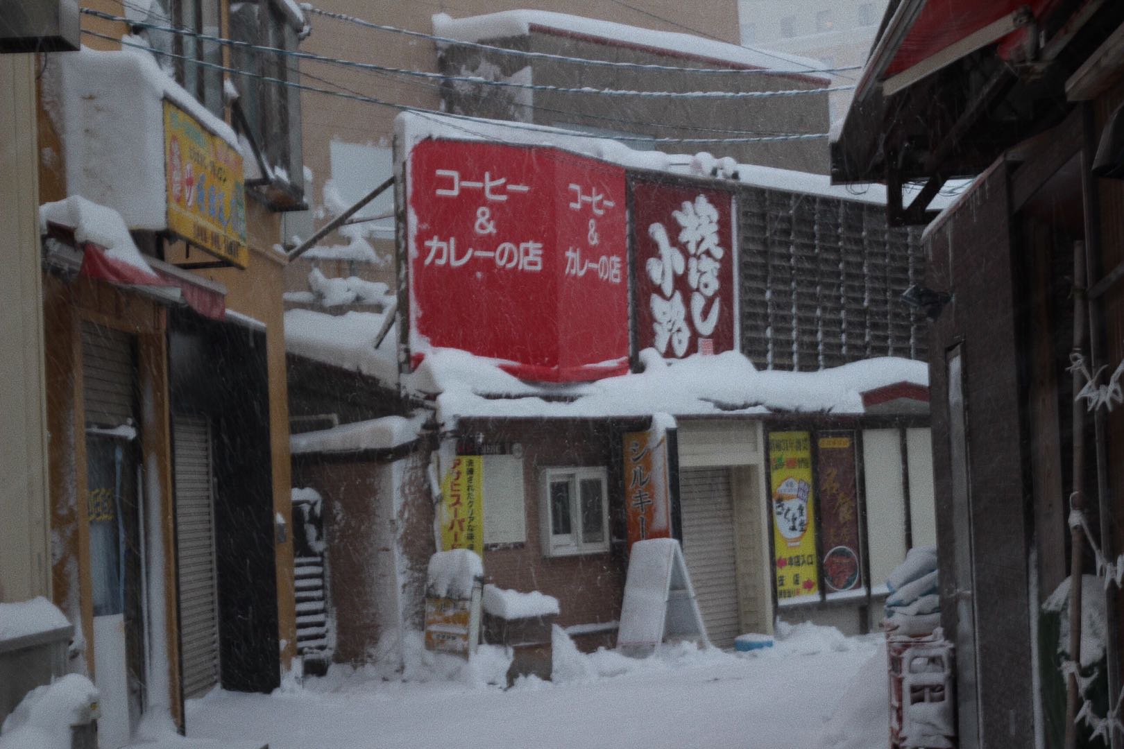 北海道自助遊攻略