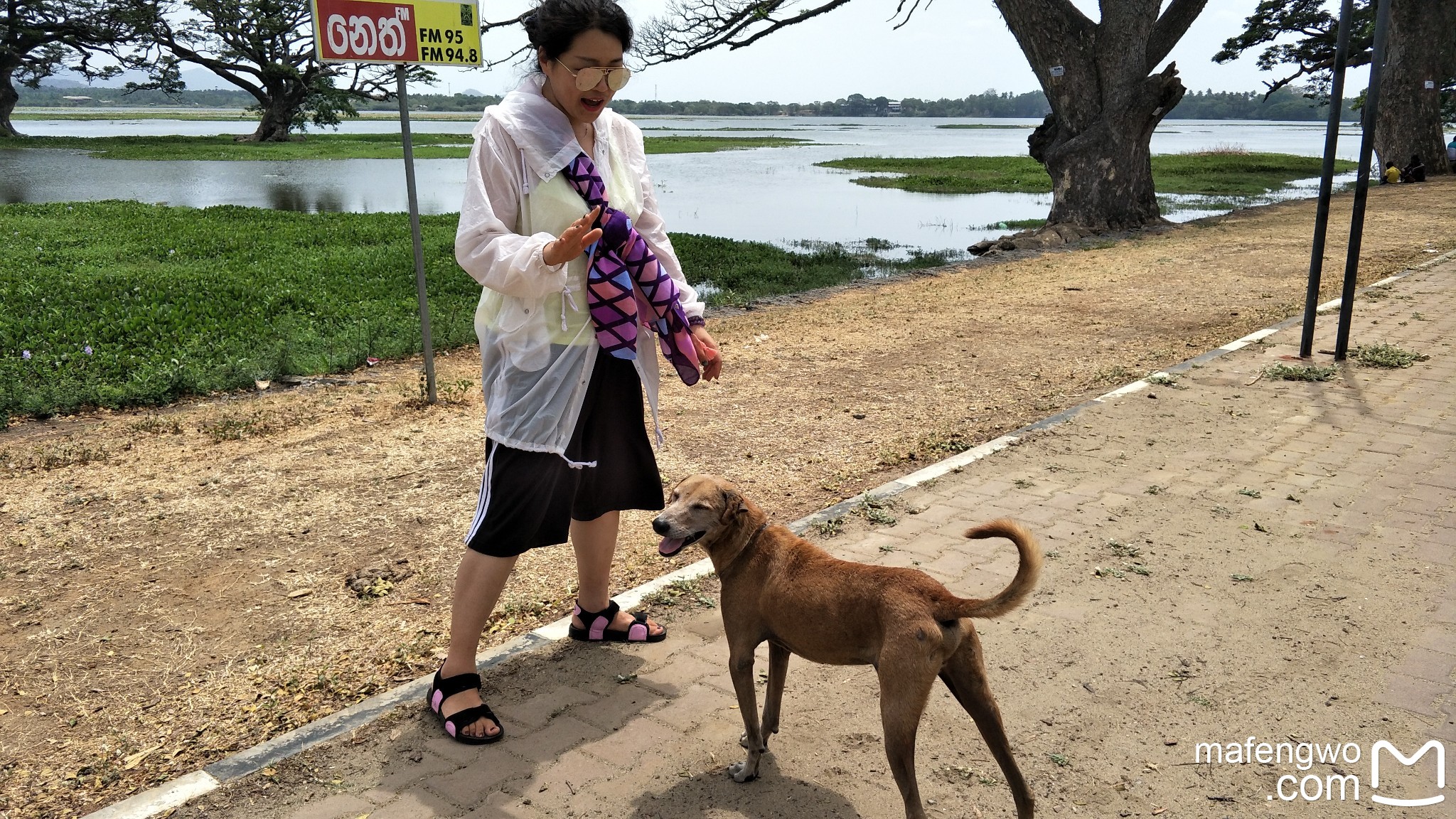 斯裡蘭卡自助遊攻略