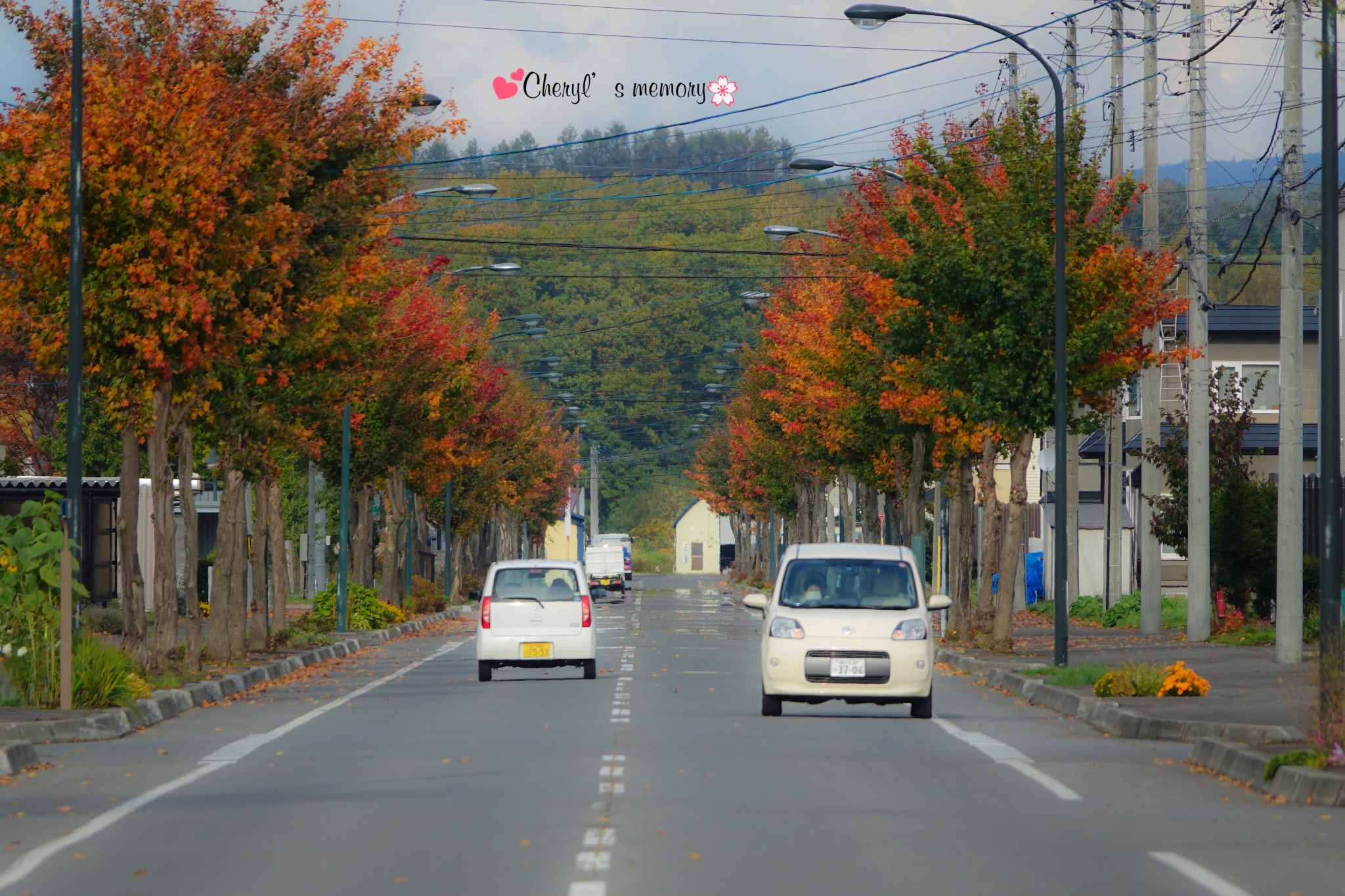 北海道自助遊攻略