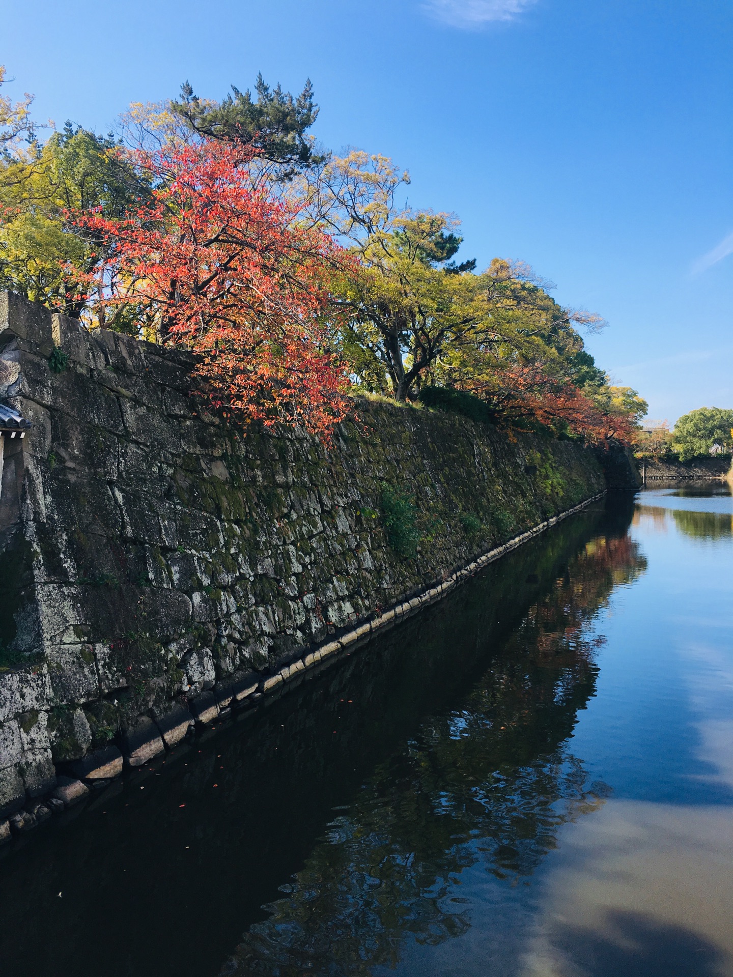 京都自助遊攻略