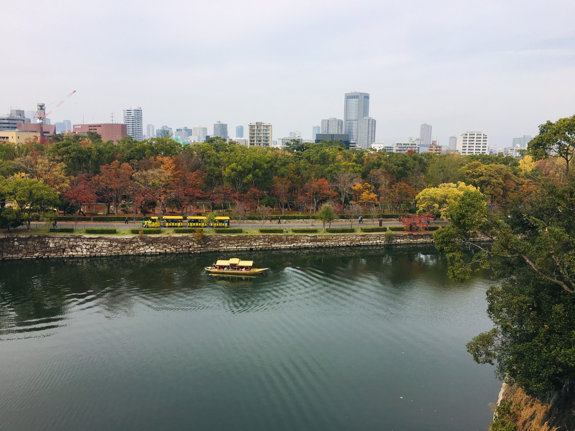 京都自助遊攻略