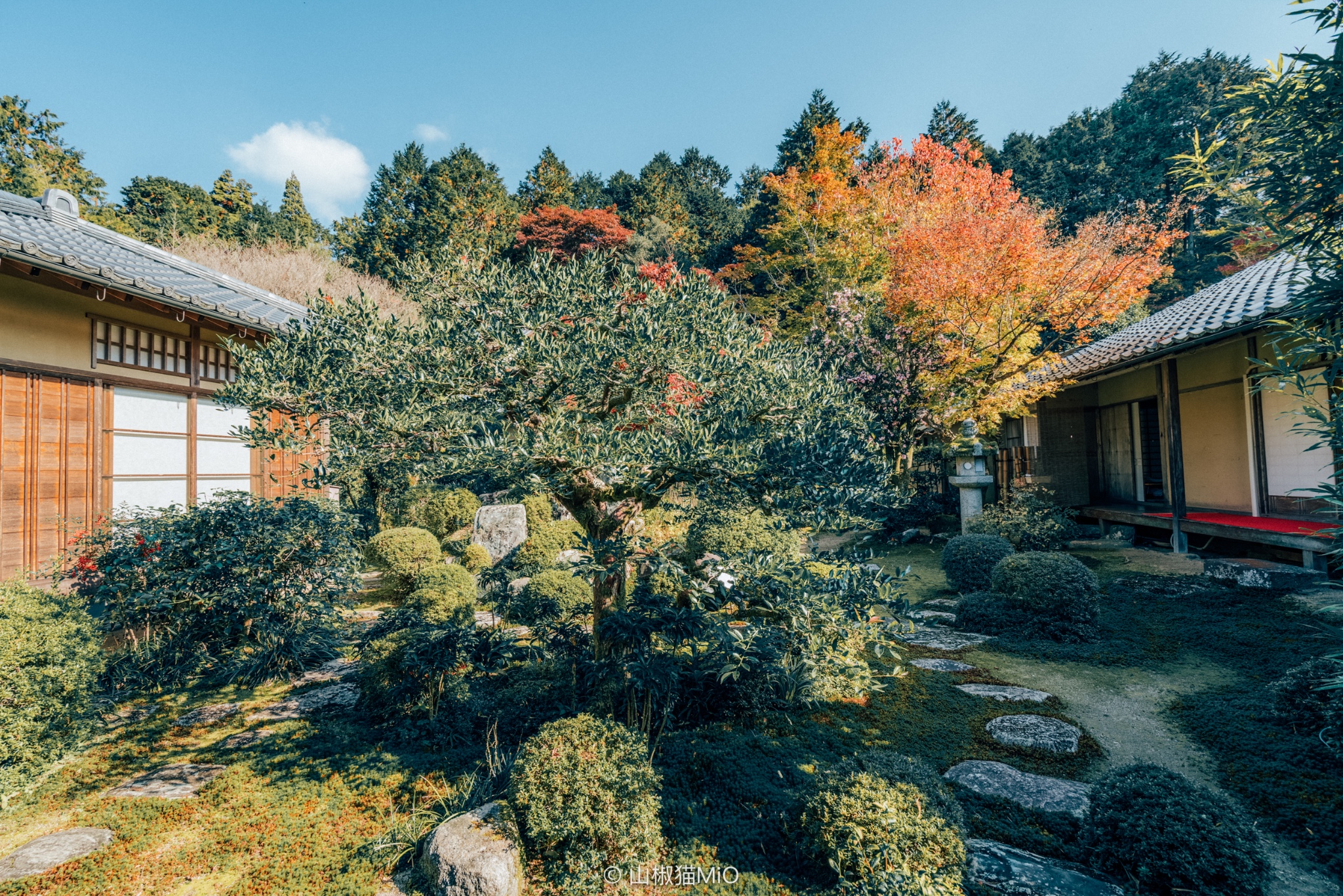 京都自助遊攻略