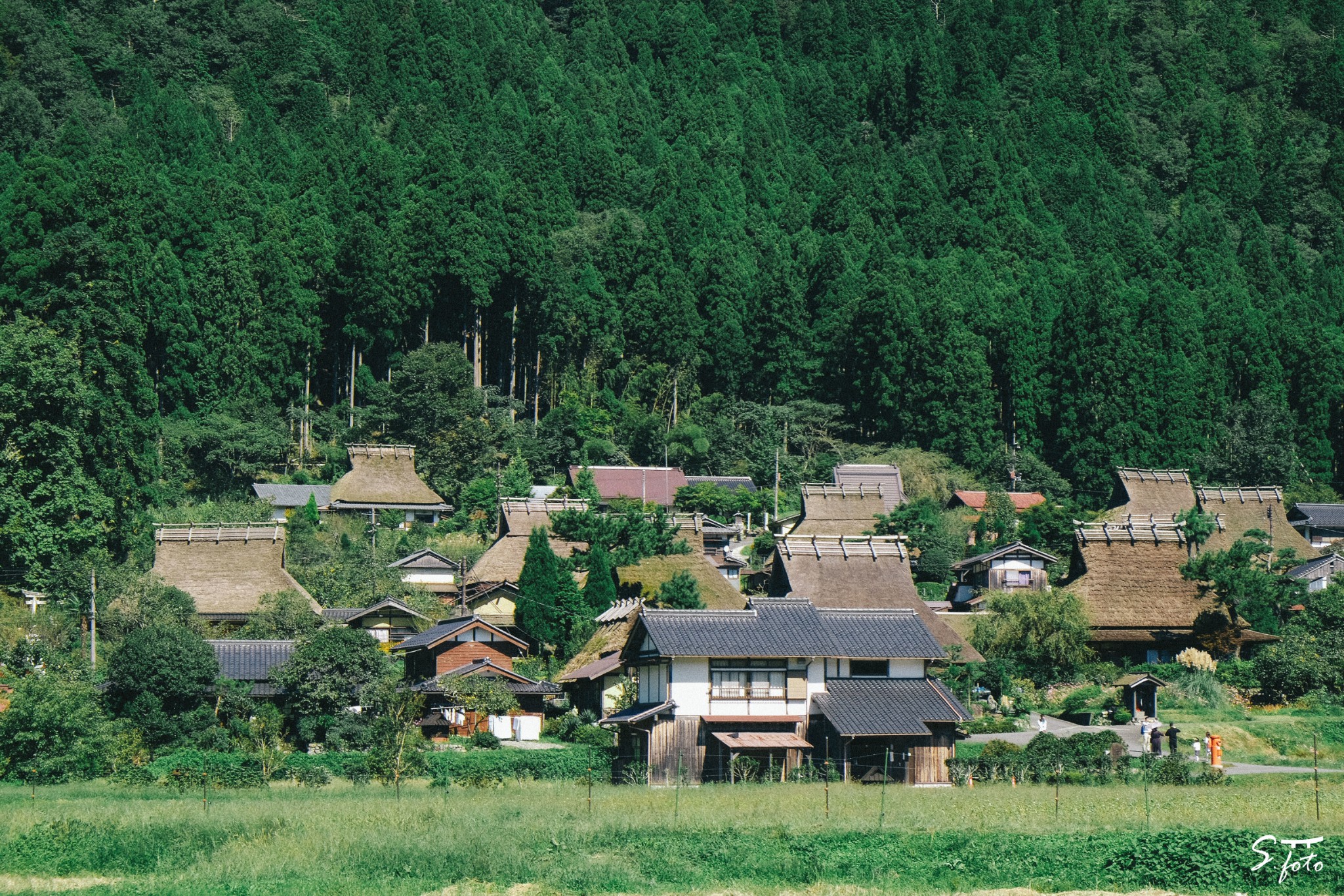 京都自助遊攻略