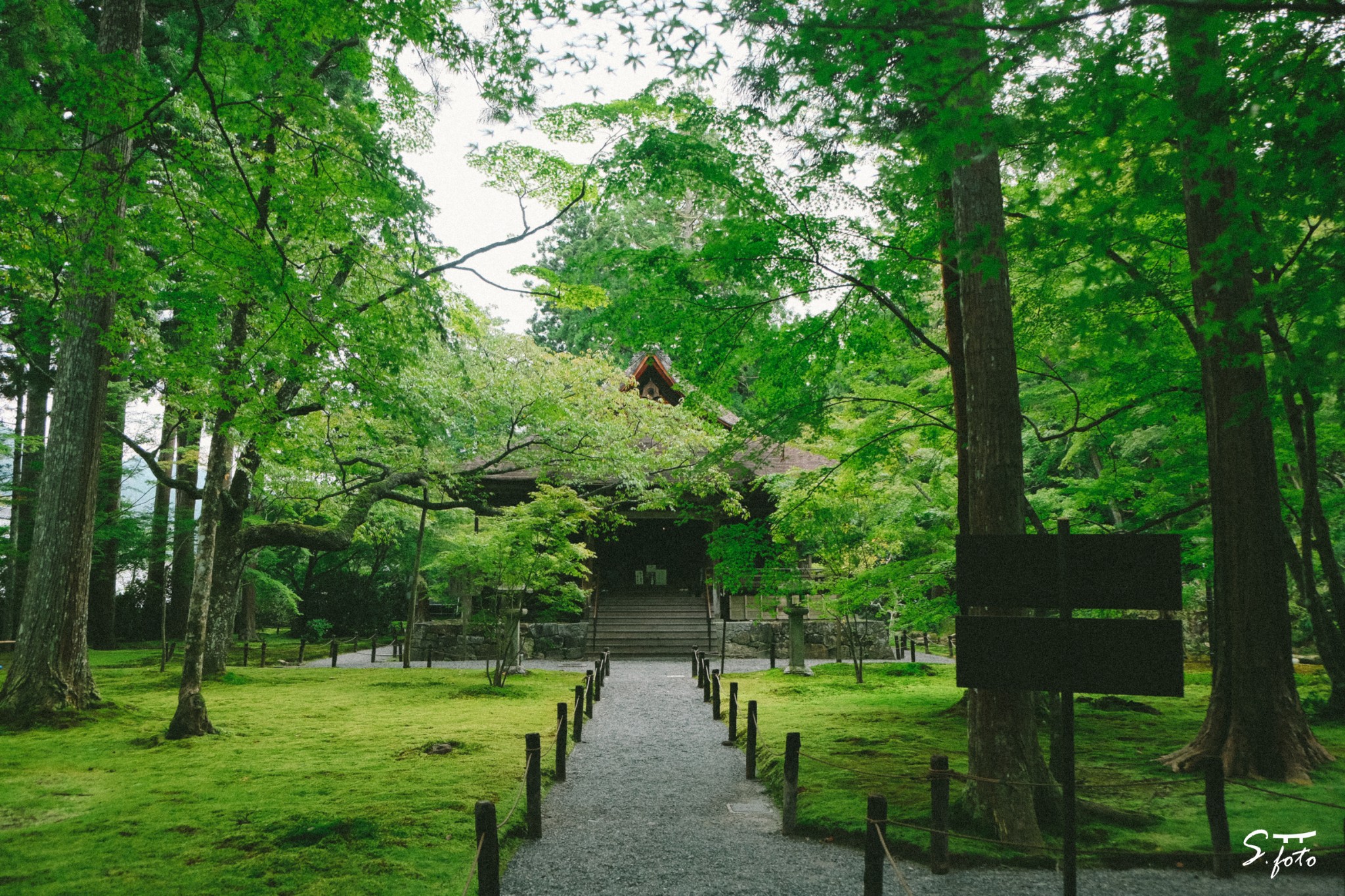 京都自助遊攻略