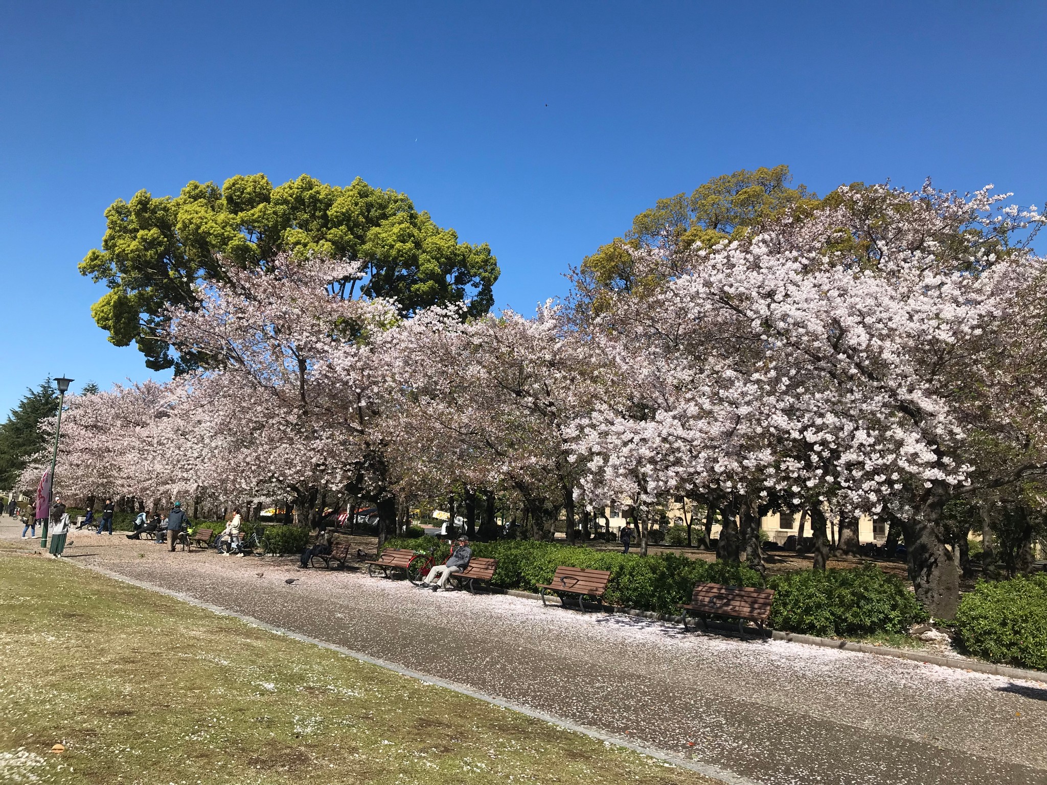 名古屋自助遊攻略