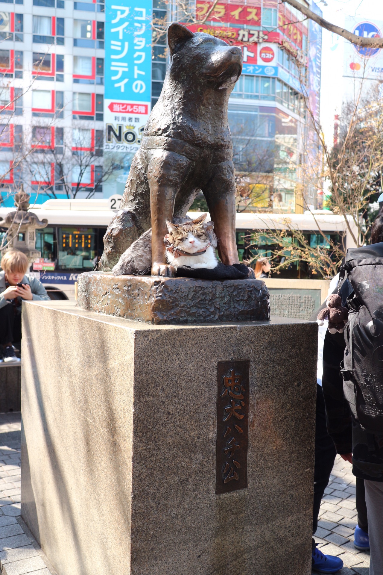 東京自助遊攻略