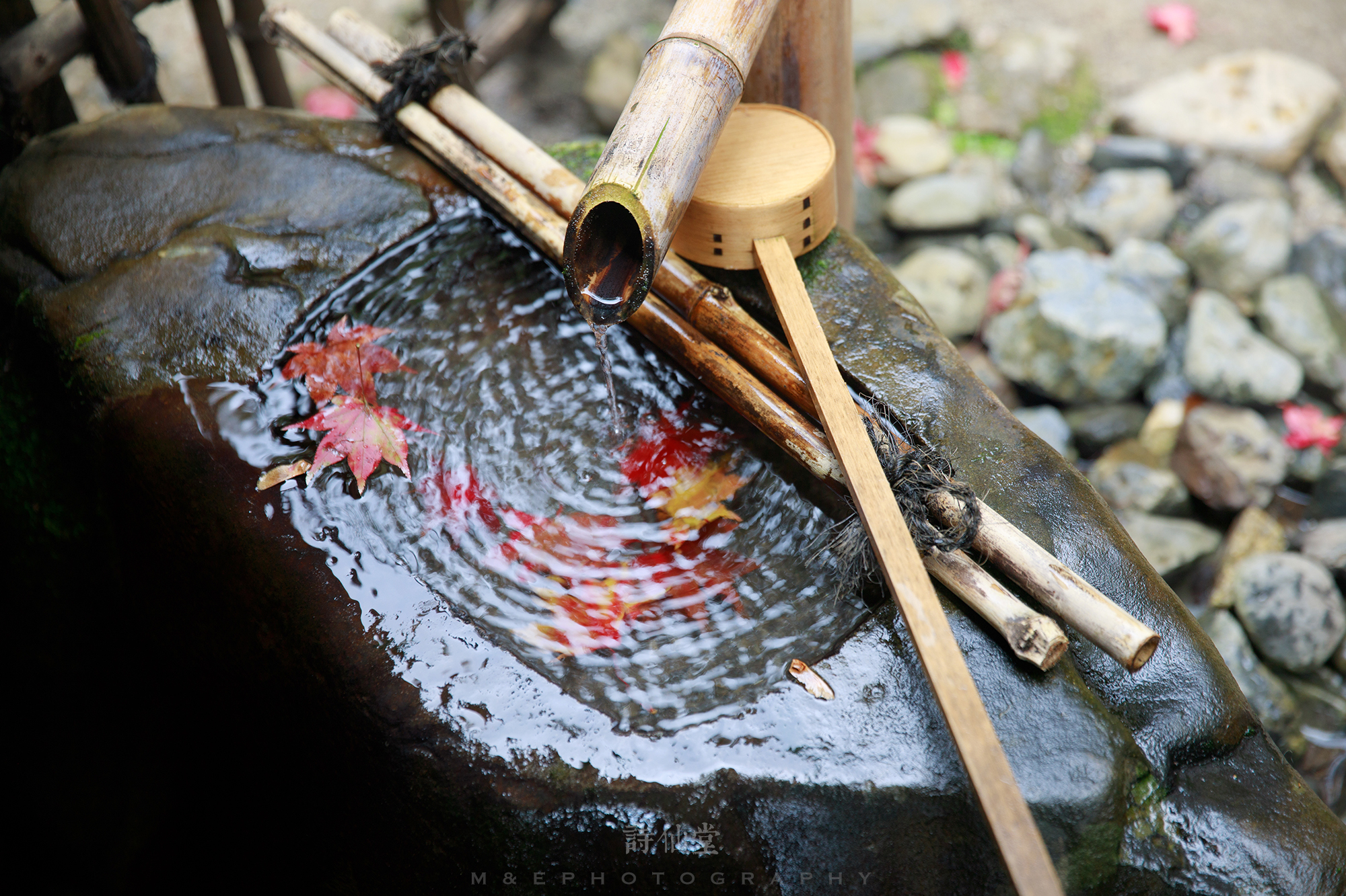 京都自助遊攻略