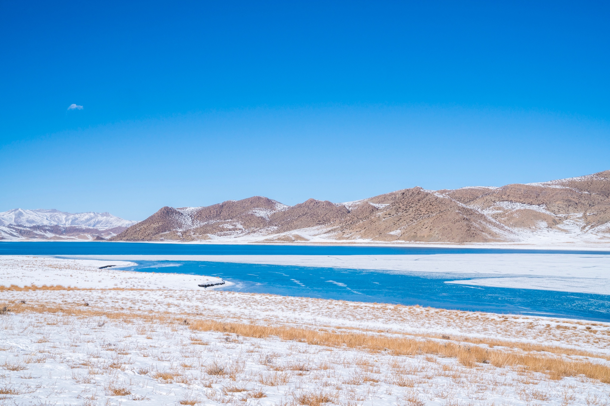 【首发】听说拉萨下雪,于是我来了_西藏游记_途牛