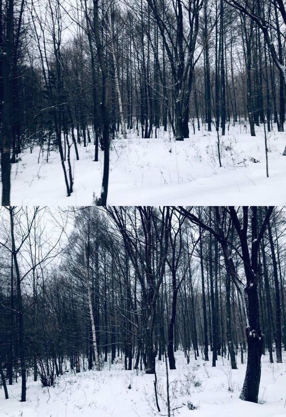 wKgEaVycTJSALuqpAAybWD9Z1Zc67.jpeg?imageView2%2F2%2Fw%2F680%2Fq%2F90%7CimageMogr2%2Fstrip%2Fquality%2F90
