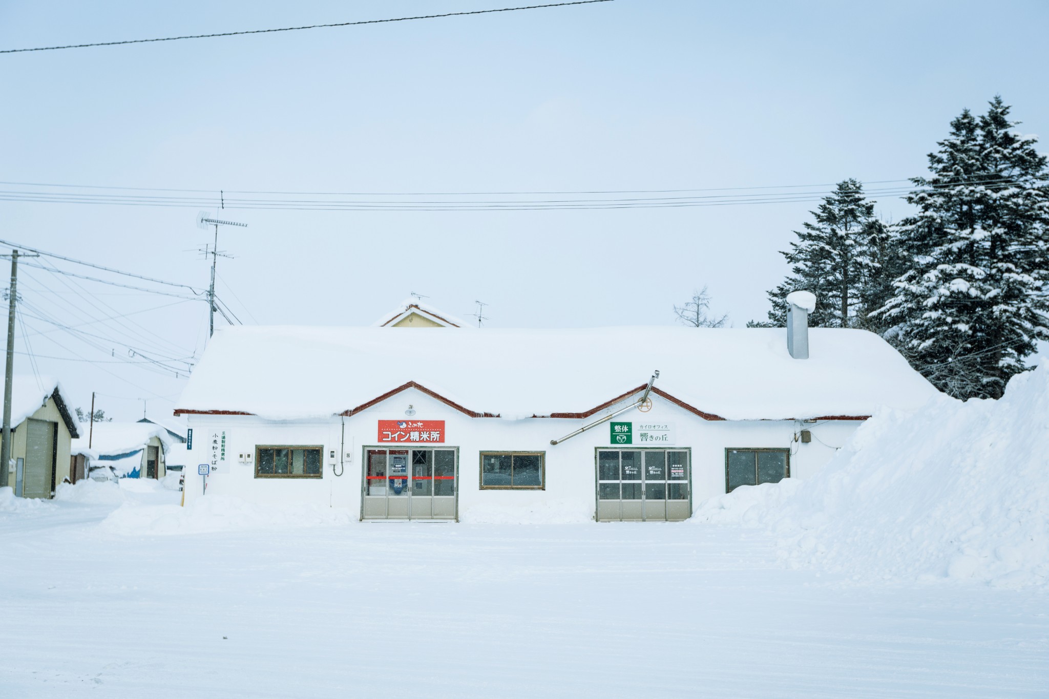 北海道自助遊攻略