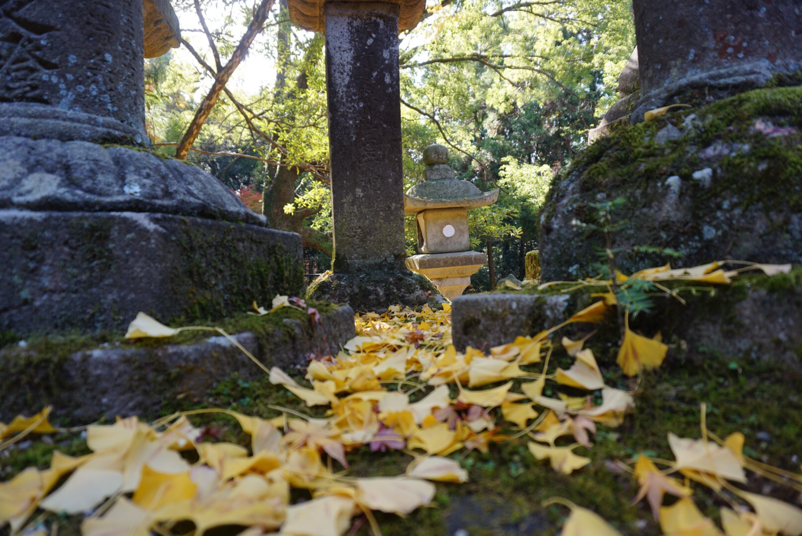 京都自助遊攻略