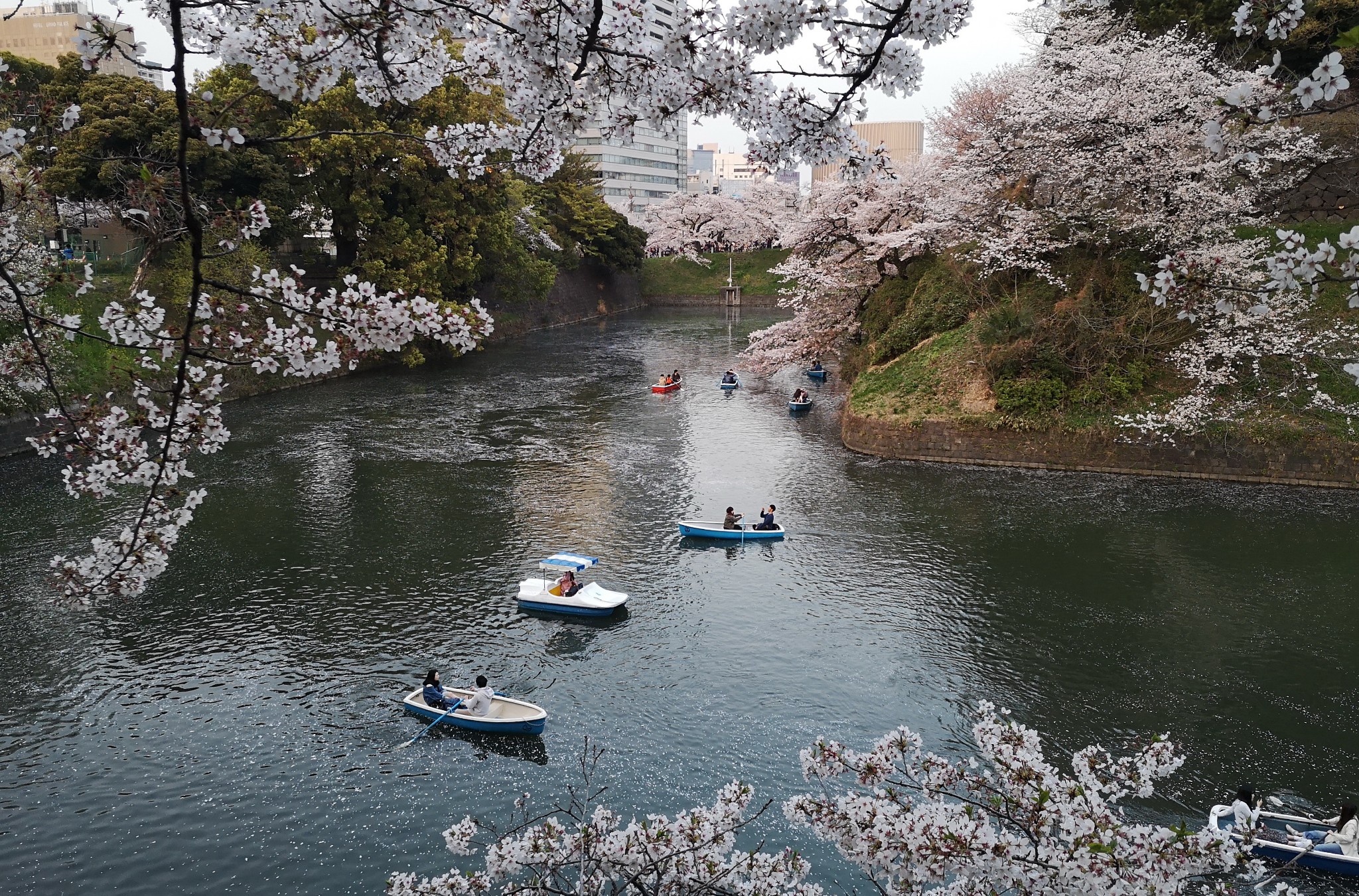 東京自助遊攻略