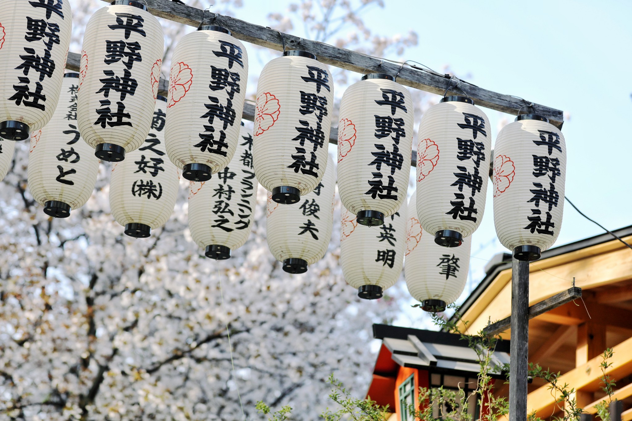 東京自助遊攻略