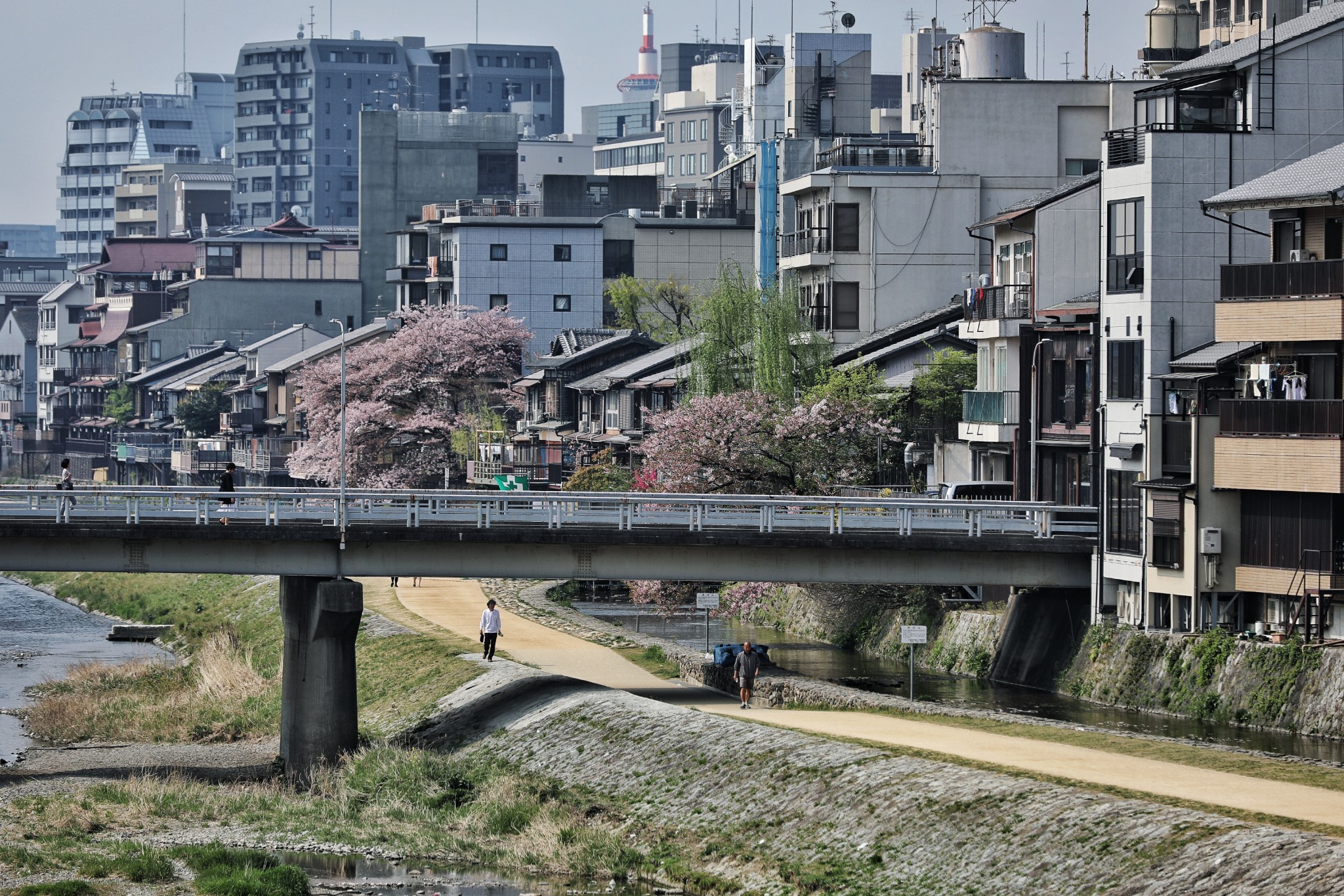 東京自助遊攻略